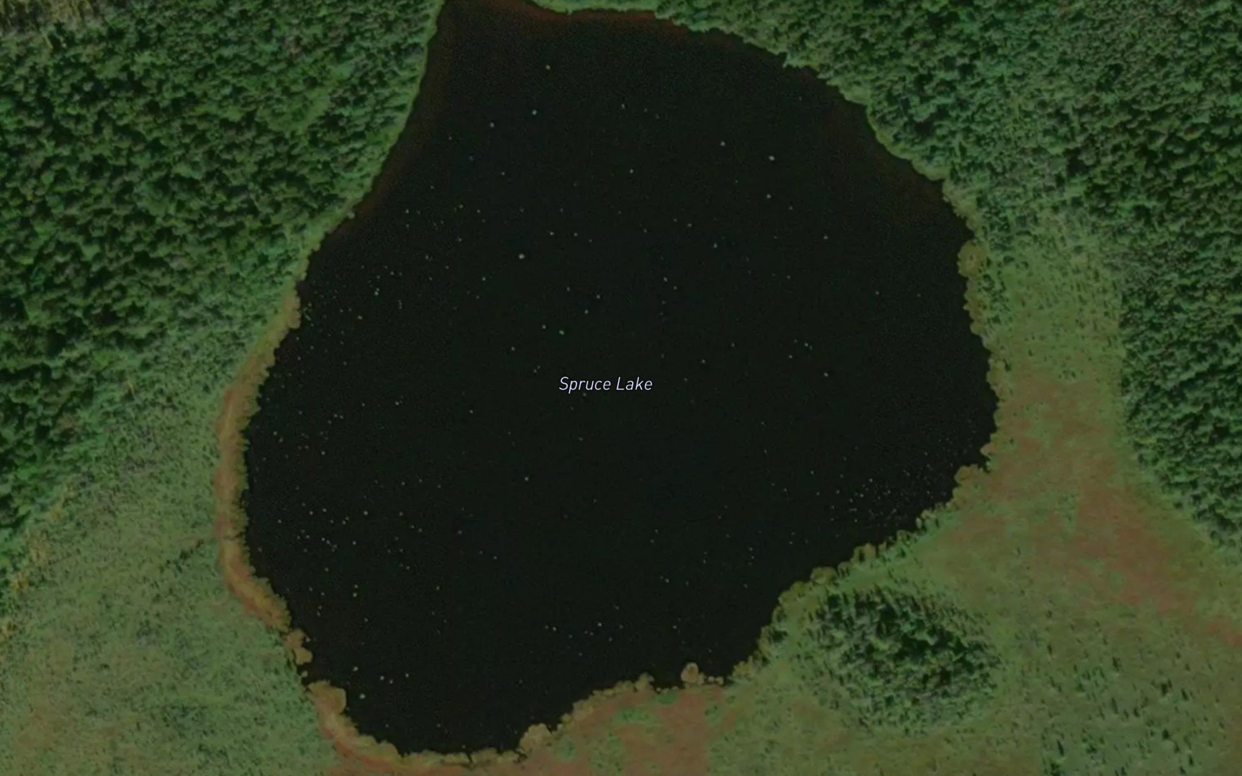Spruce Lake