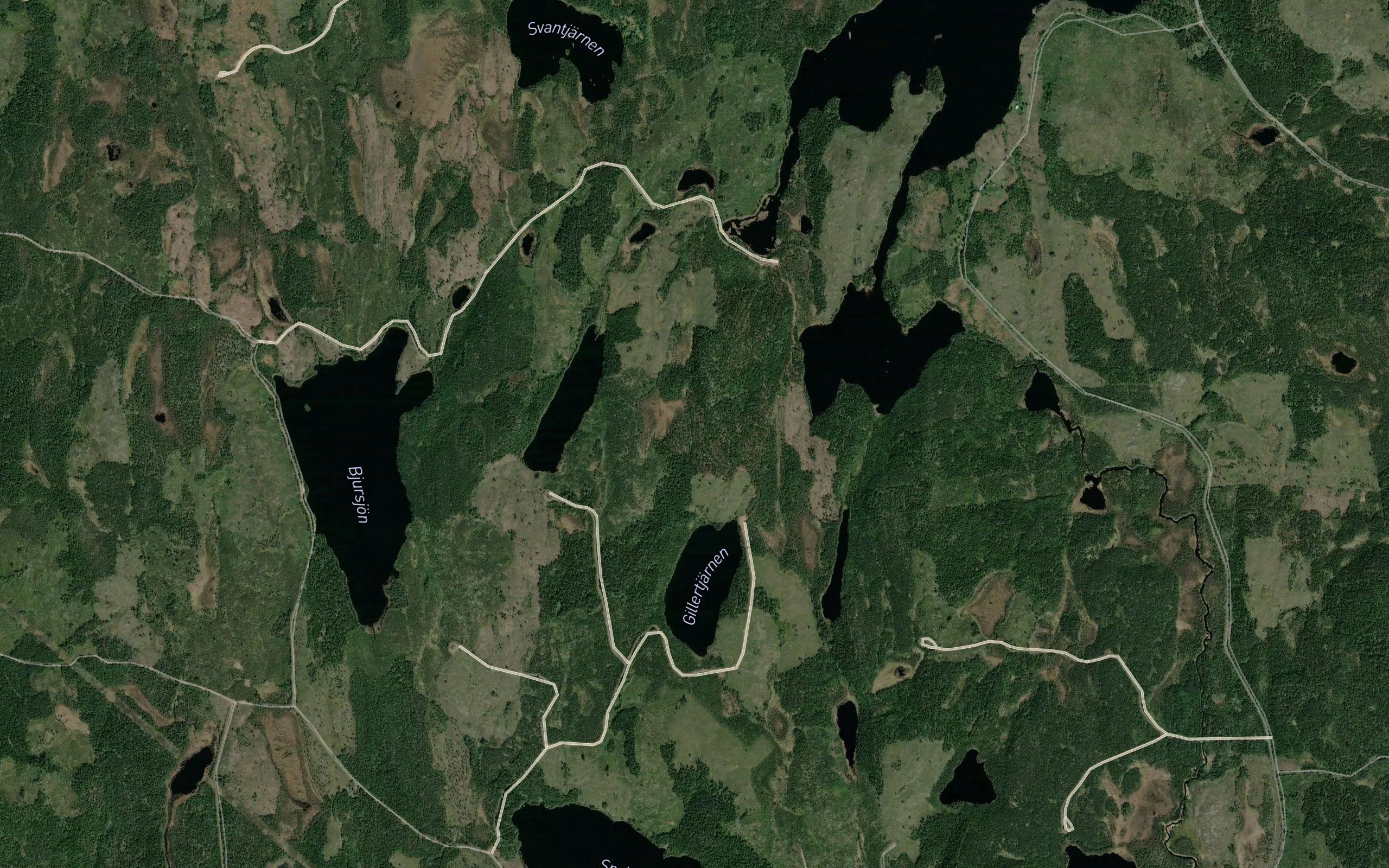 Kvarnsjon