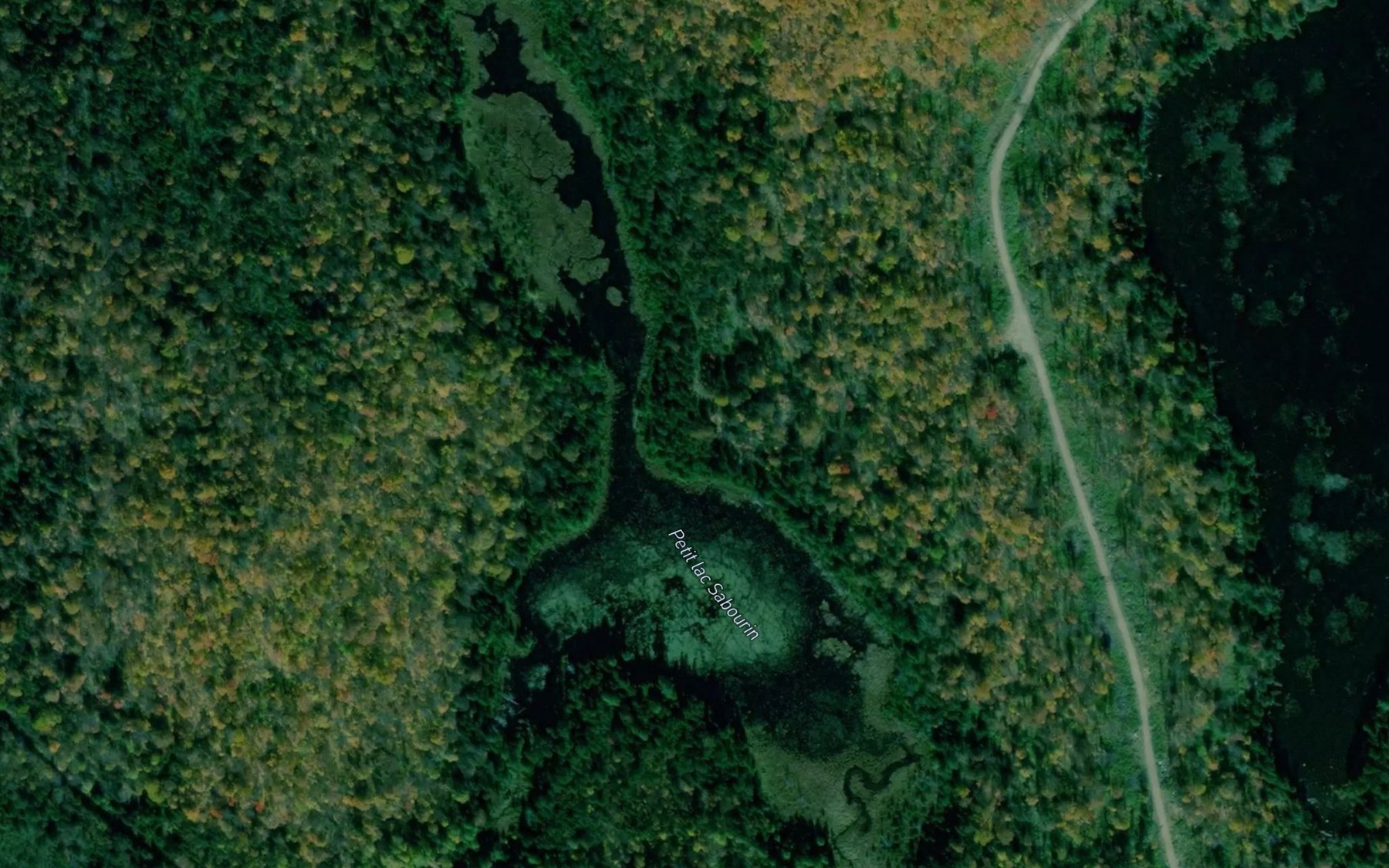Satellite map of the Petit lac Sabourin