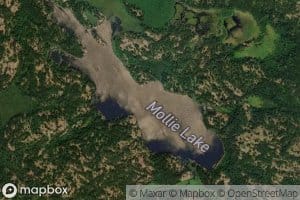 Mollie Lake