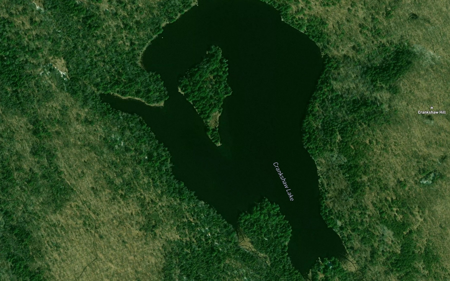 Satellite map of the Crankshaw Lake