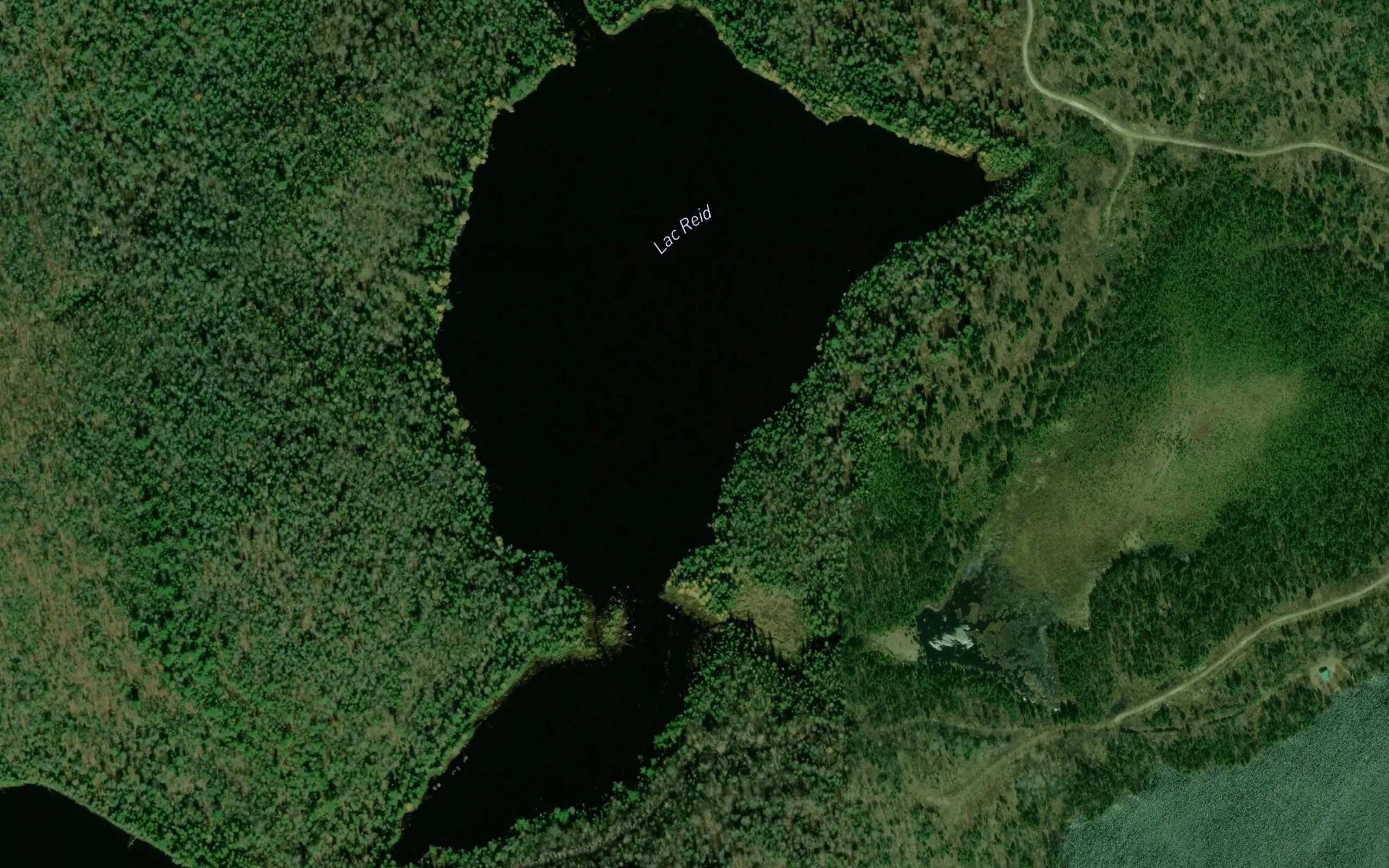 Lac Reid