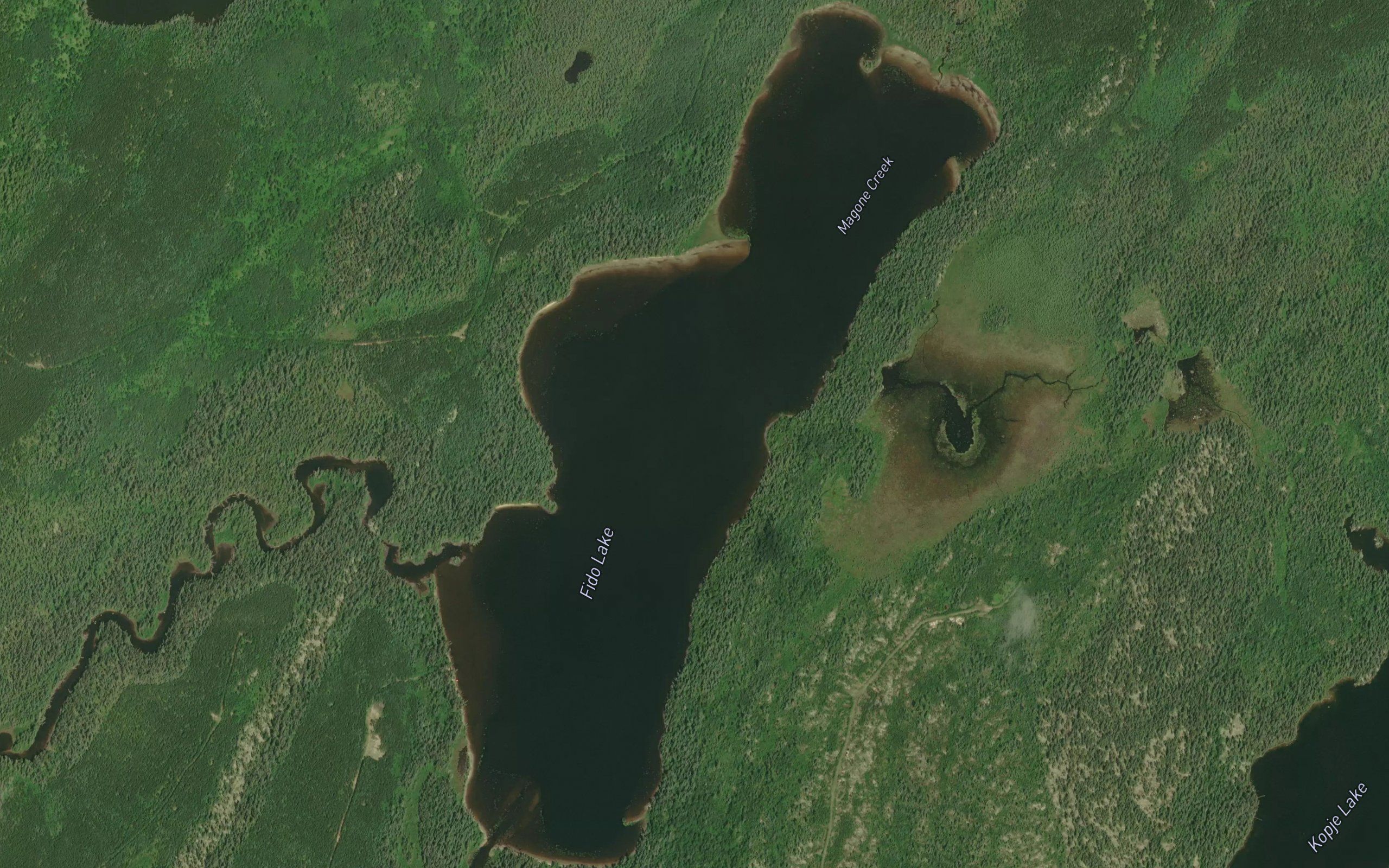 Fido Lake