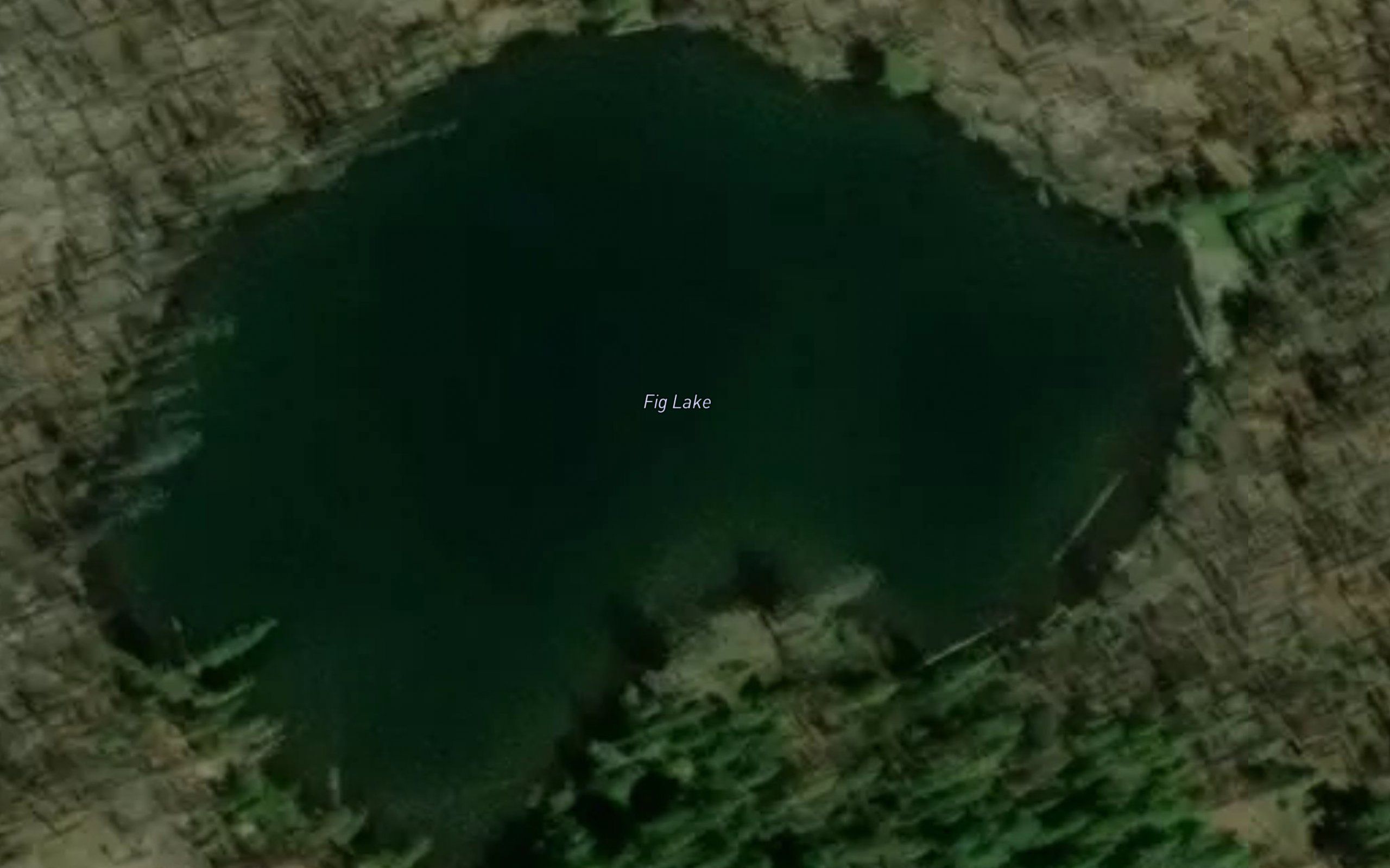 Fig Lake