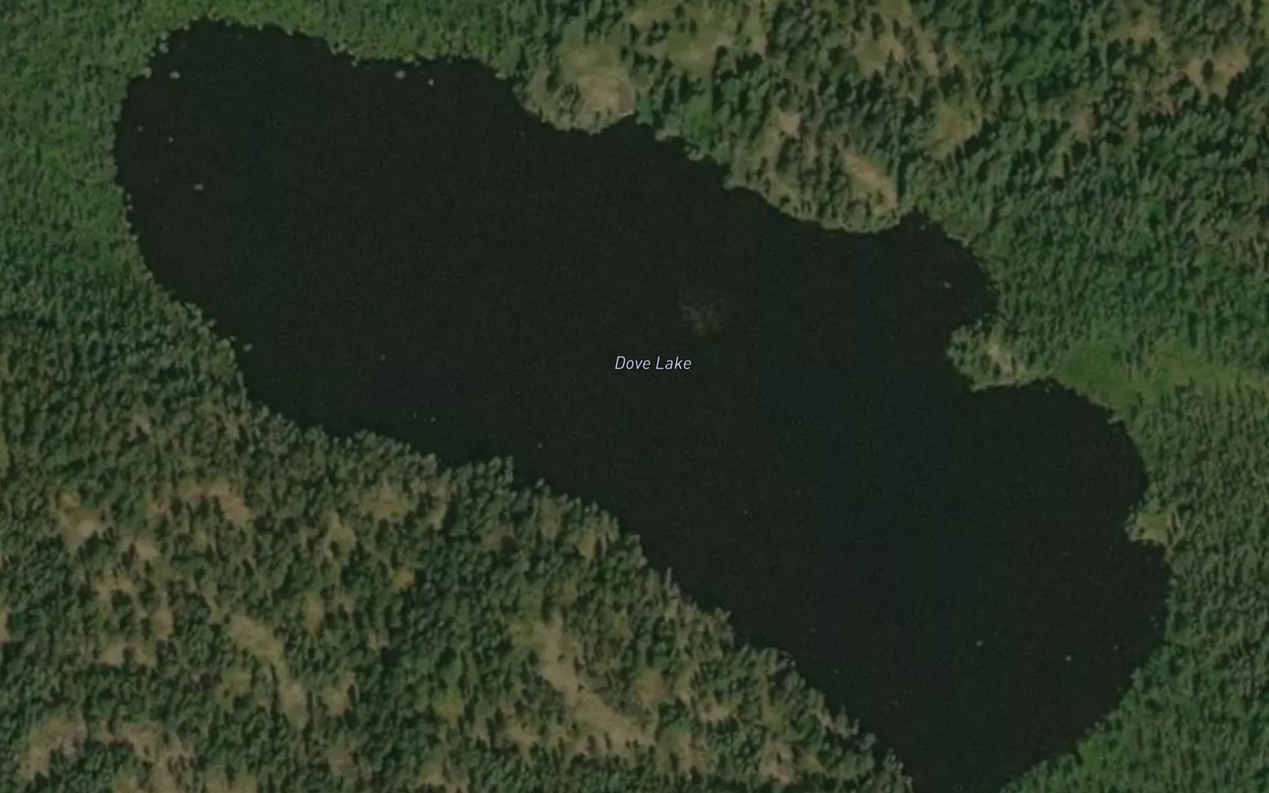 Satellite map of the Dove Lake
