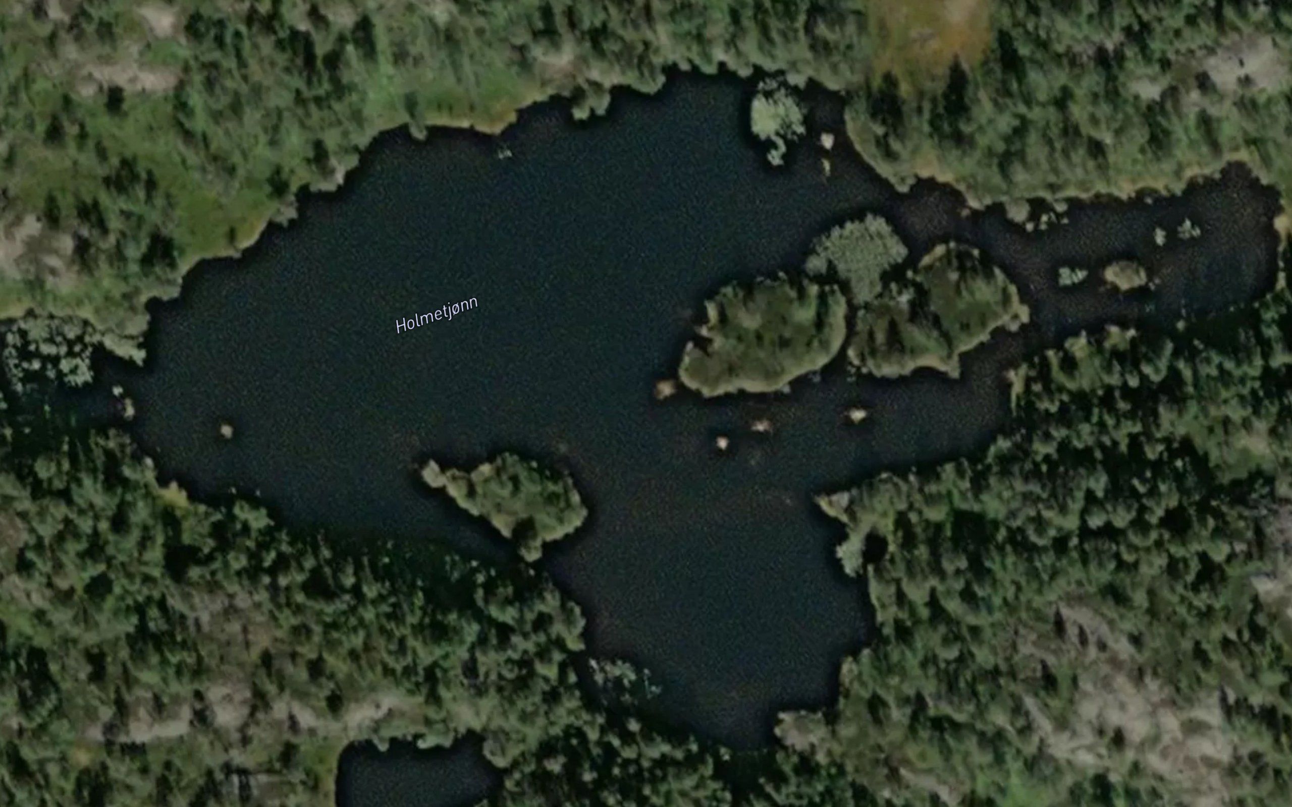 Holmetjorna