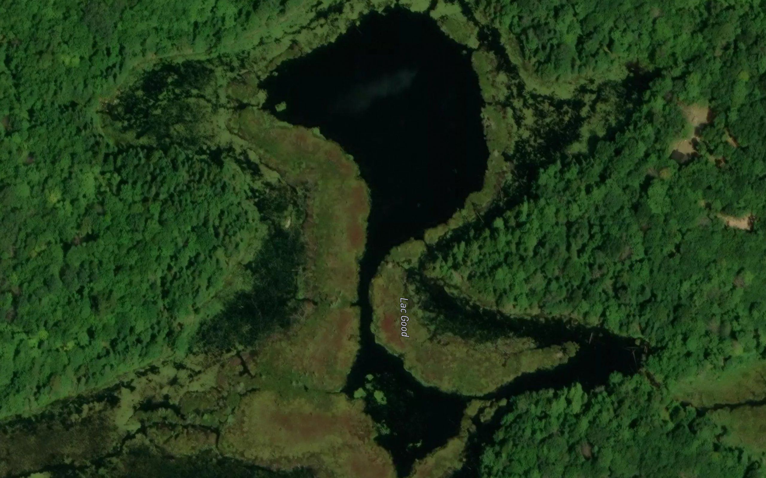 Lac Good