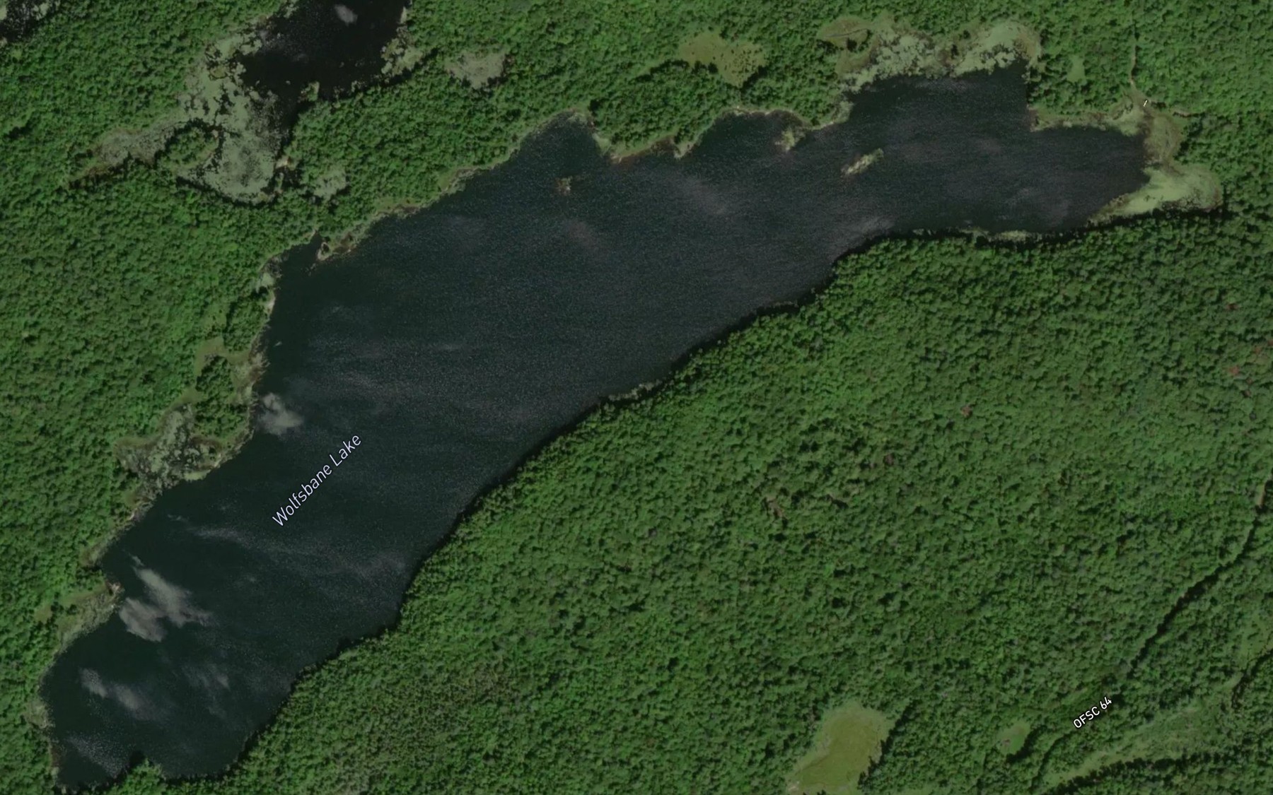 Satellite map of the Wolfsbane Lake
