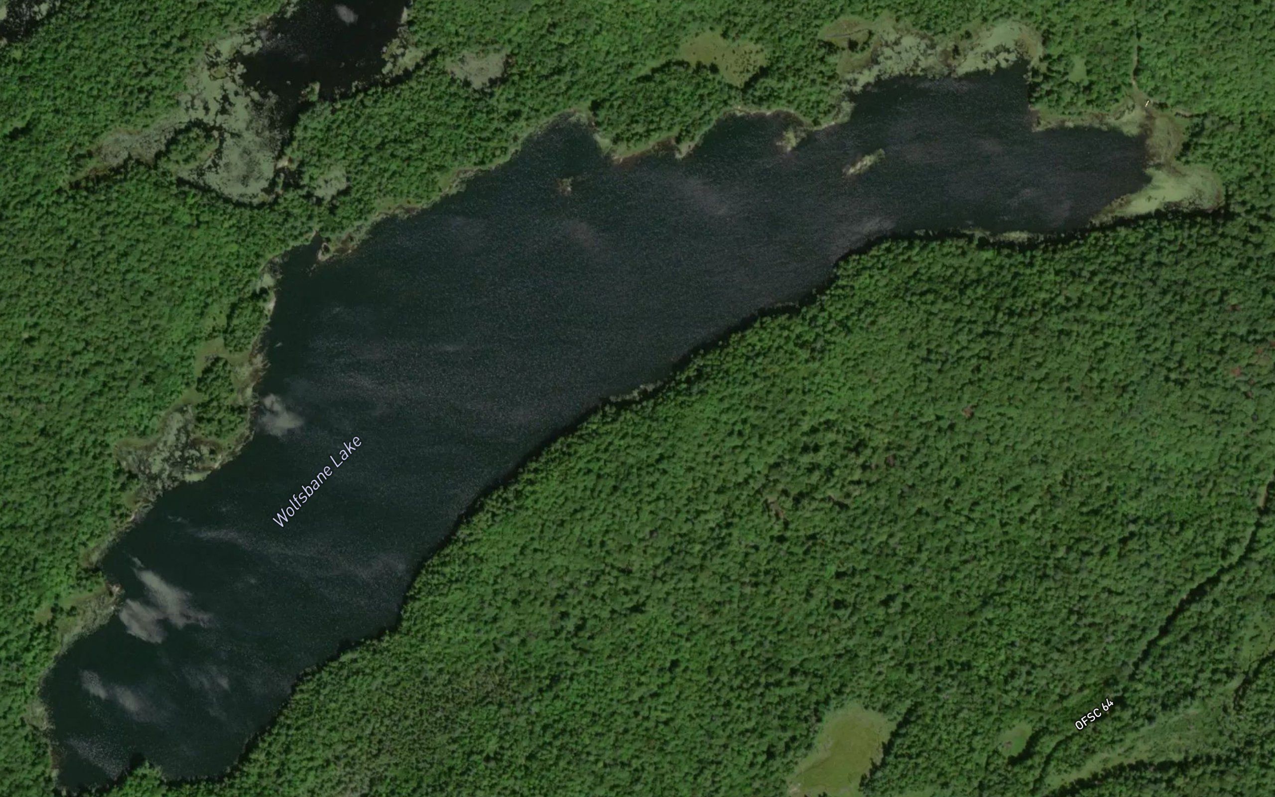 Wolfsbane Lake