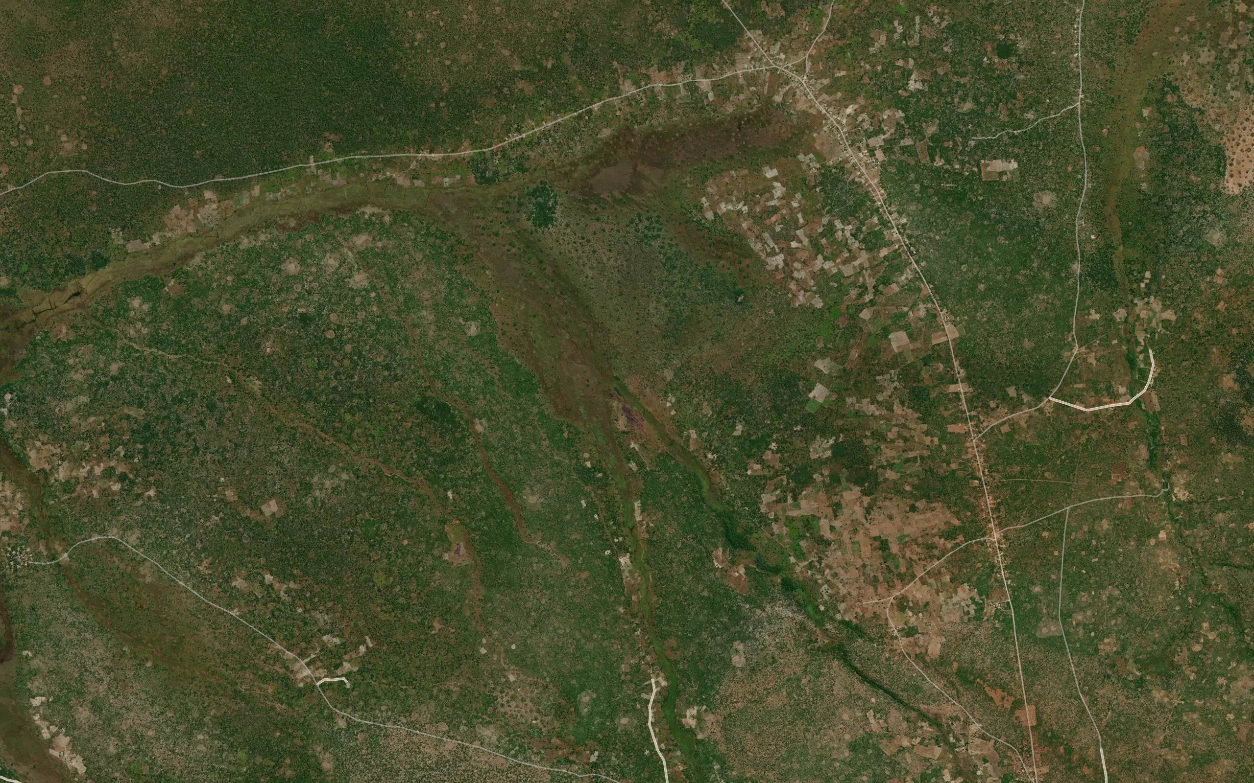 Chimpundu