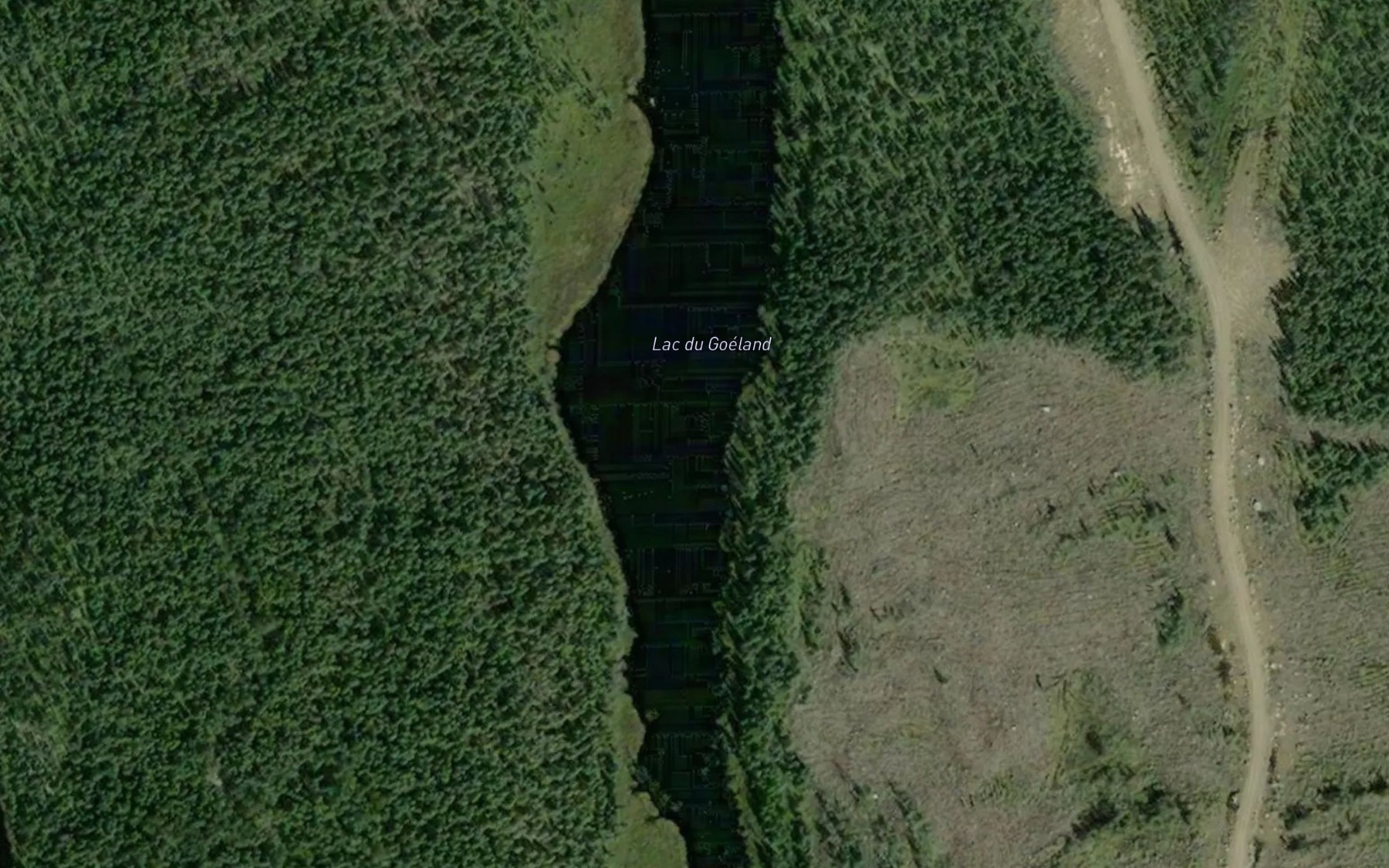 Satellite map of the Lac du Goeland