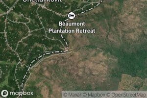 Suranganar Waterfall