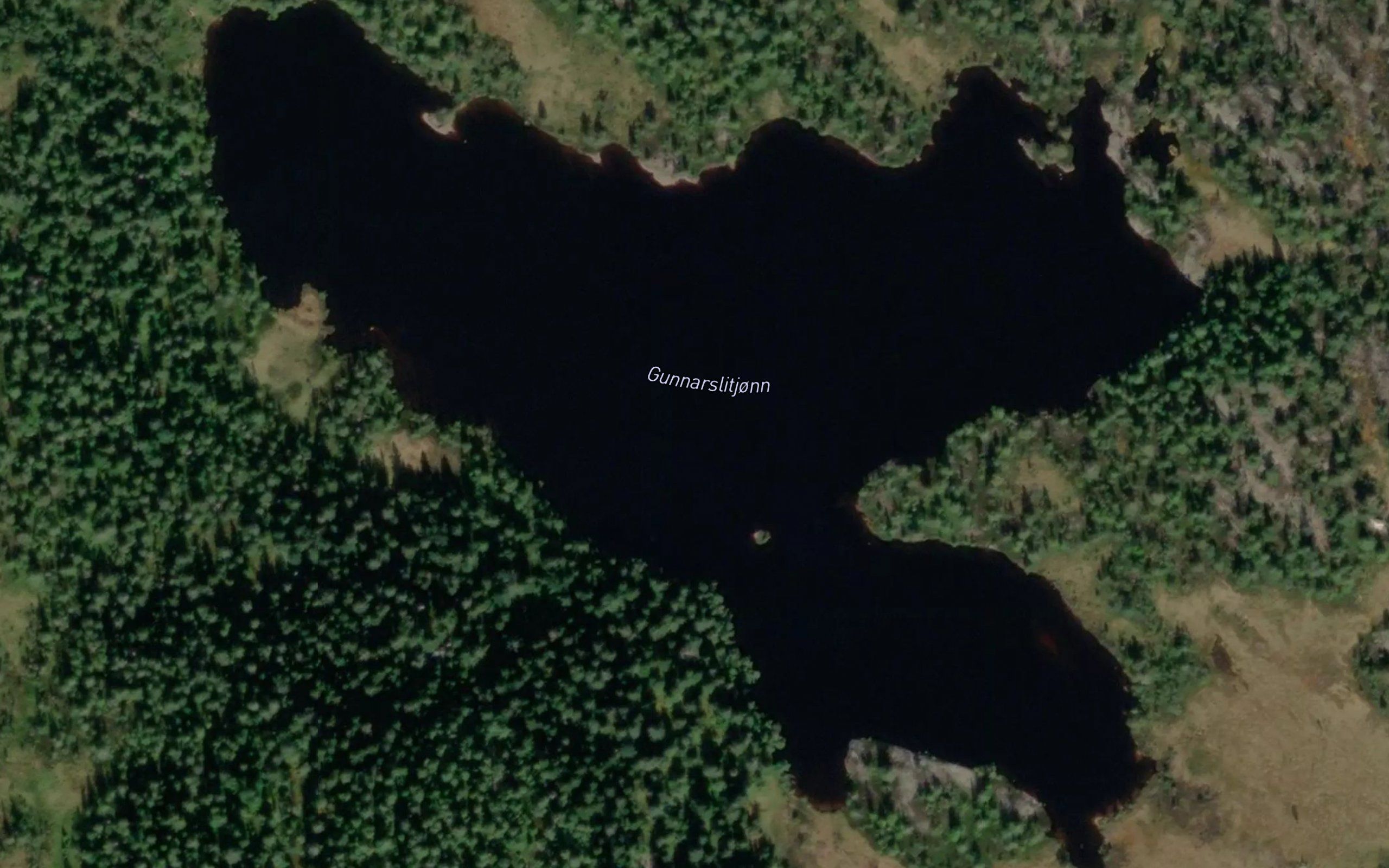 Gunnarslitjorn