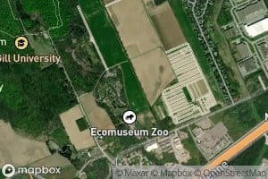 Petit etang Macdonald