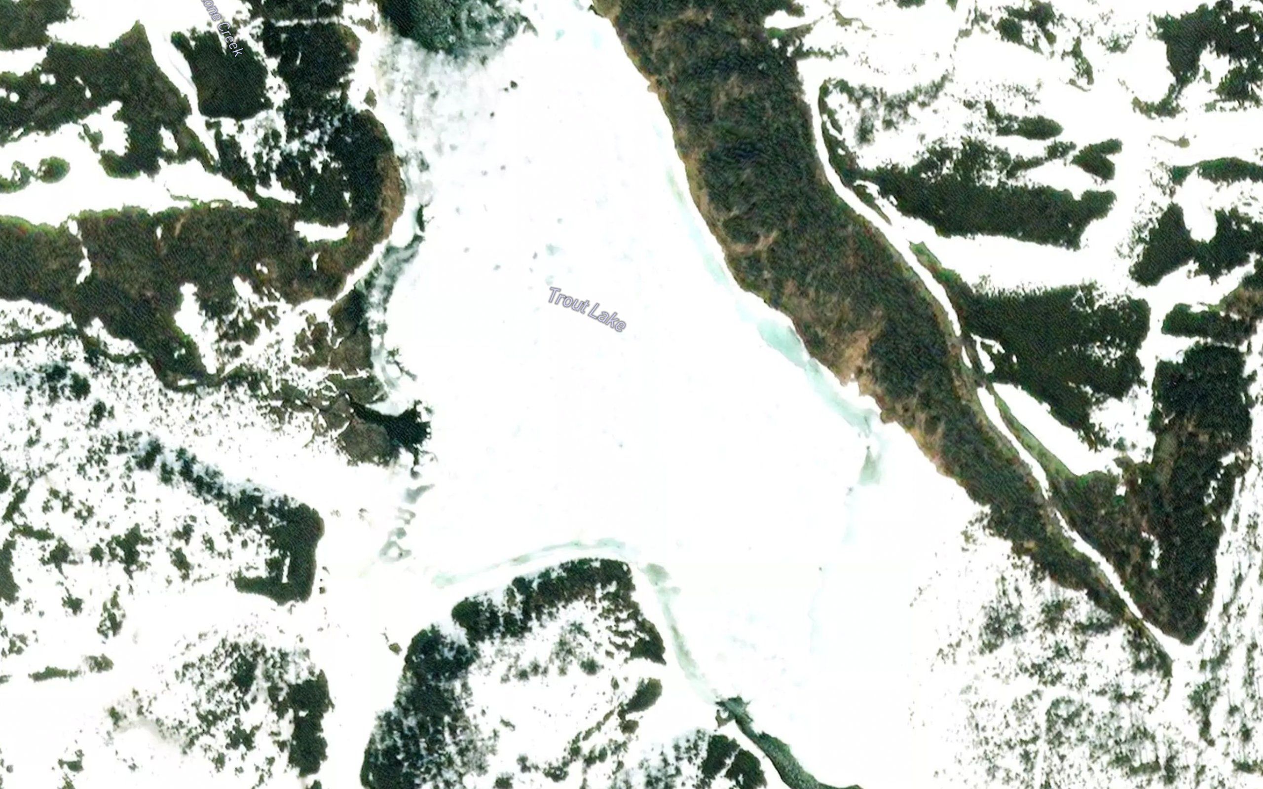 Trout Lake