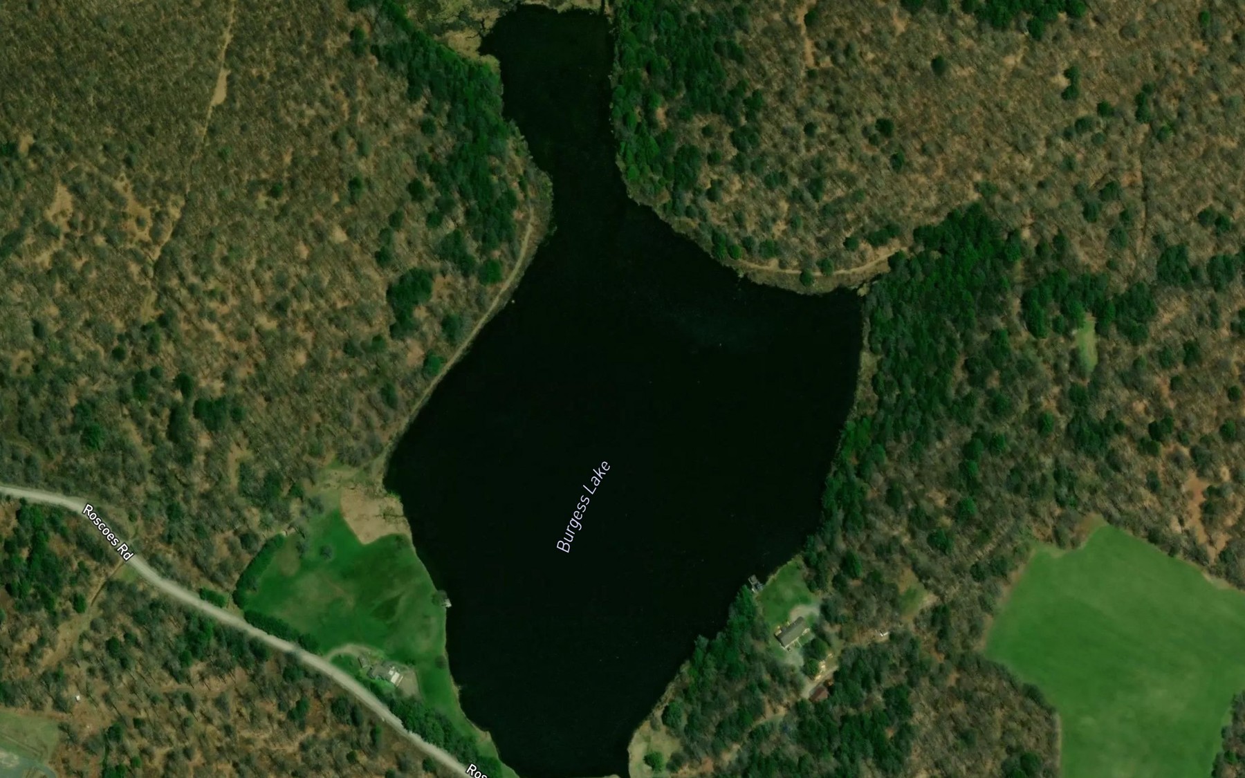 Satellite map of the Burgess Pond