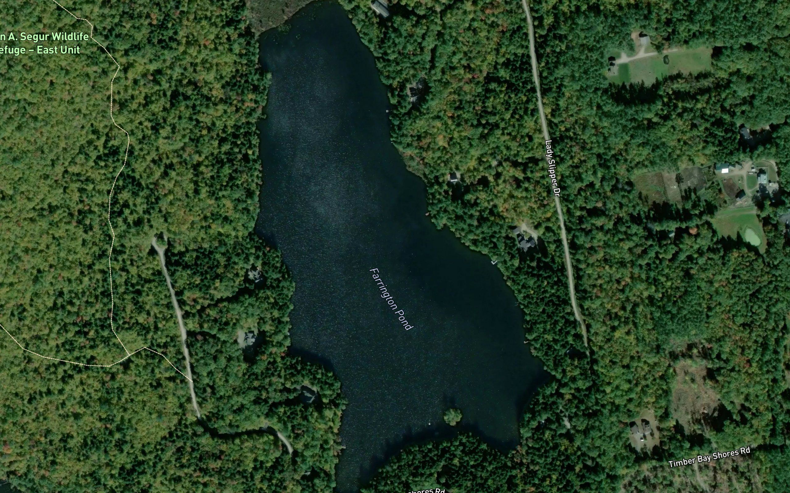 Farrington Pond