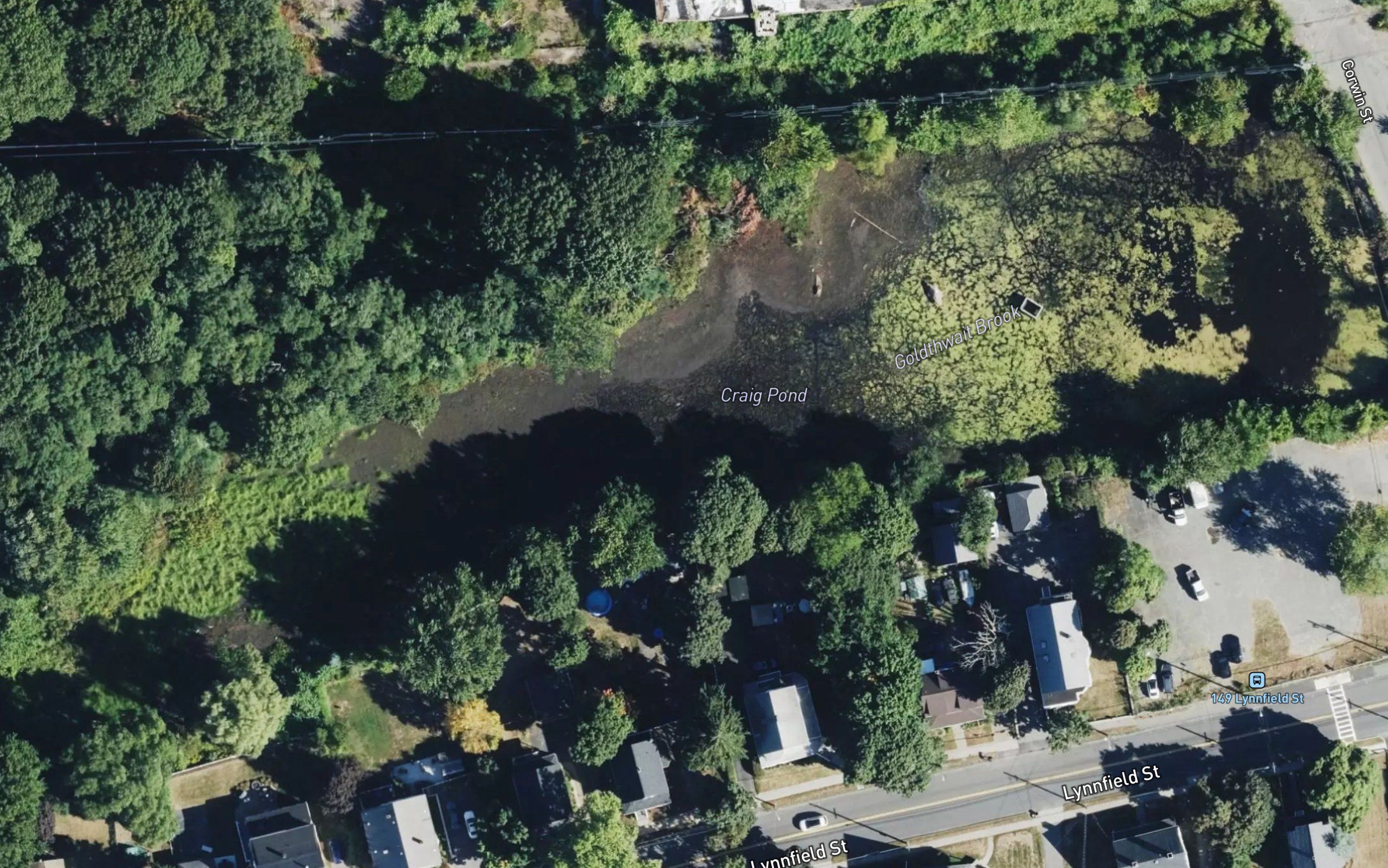 Craig Pond