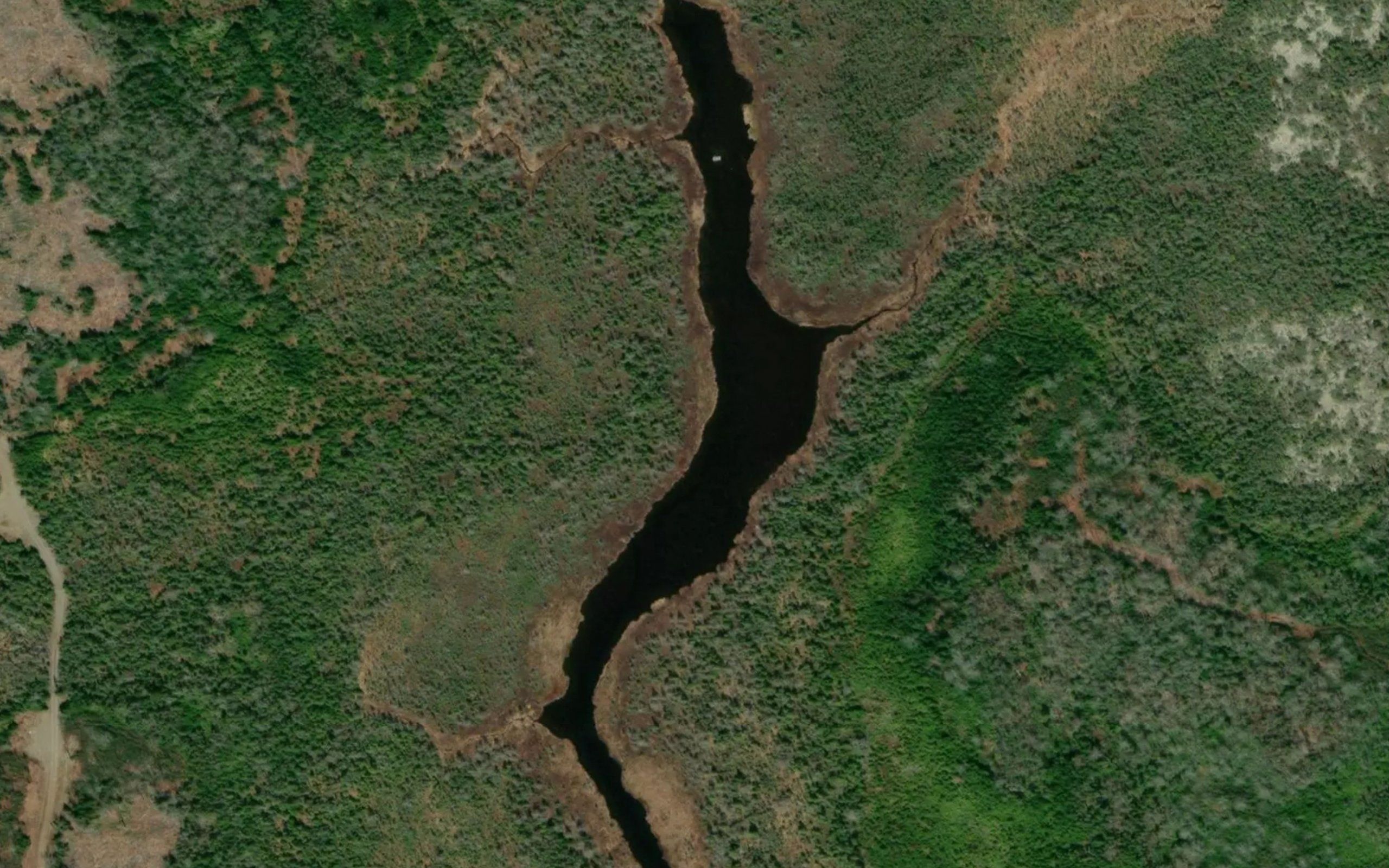 Grassy Lake