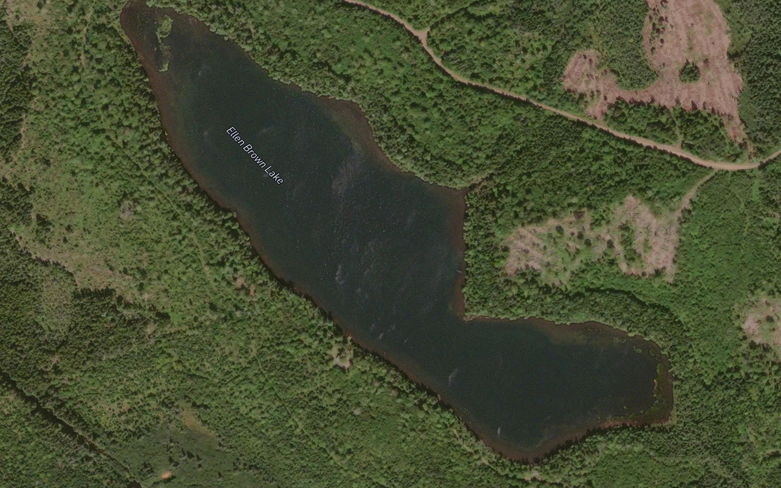 Ellen Brown Lake