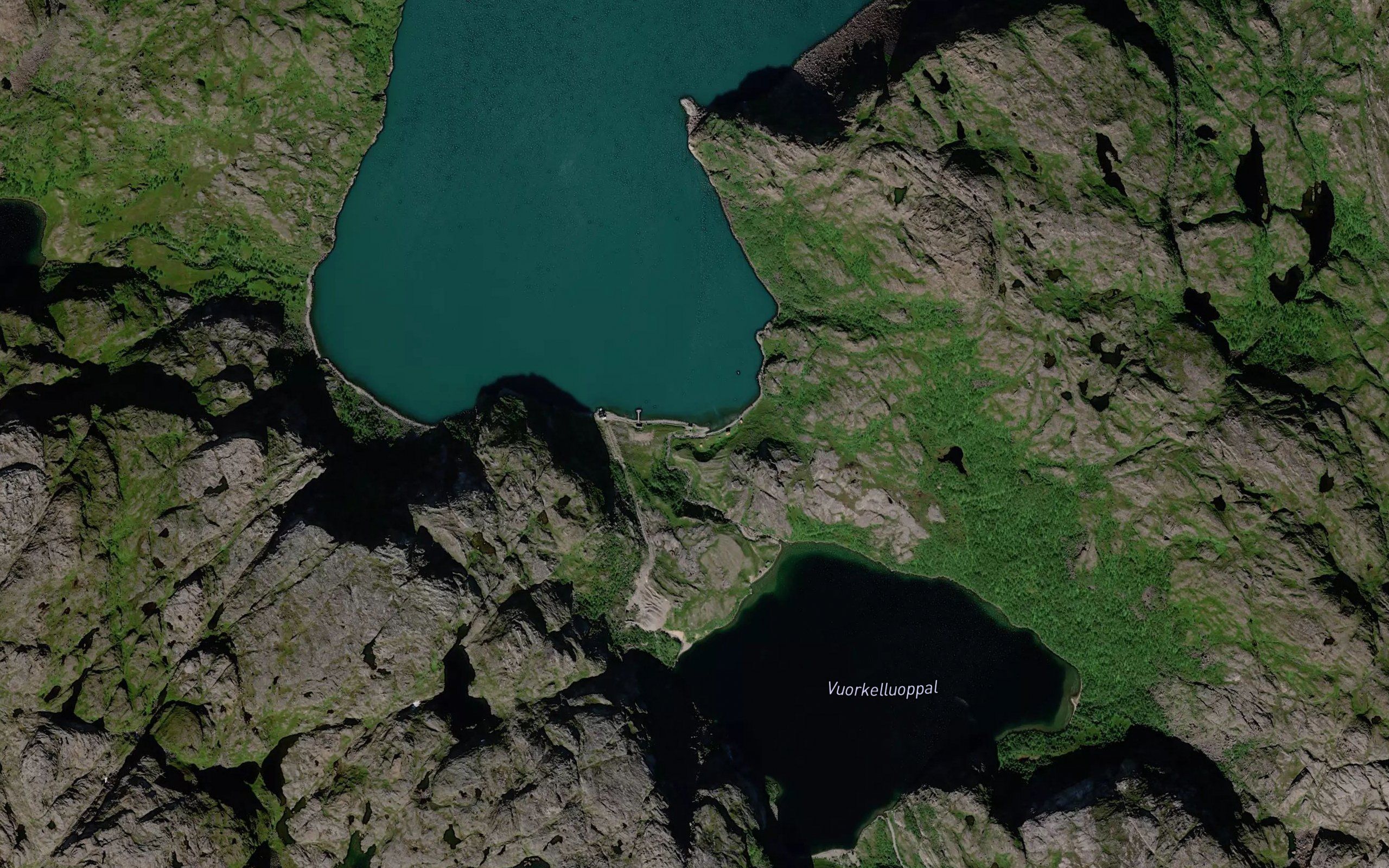 Kobbholmselva