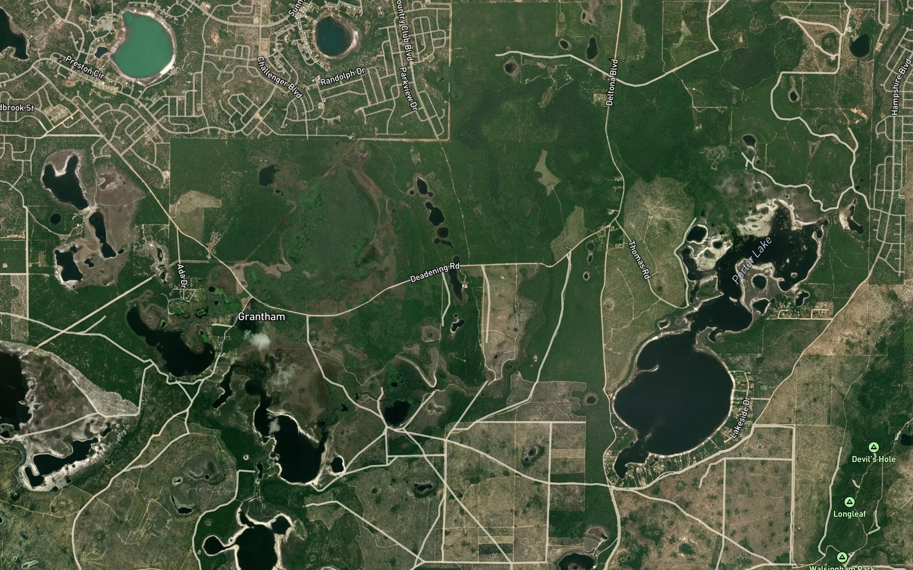 Satellite map of the Silver Lake