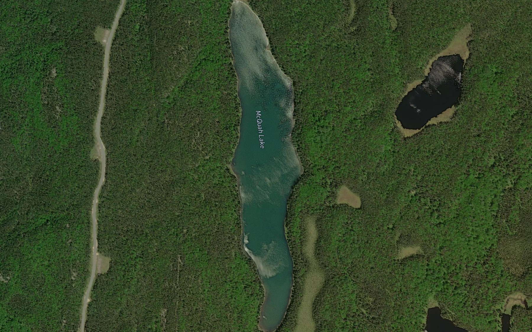 Satellite map of the McQuah Lake