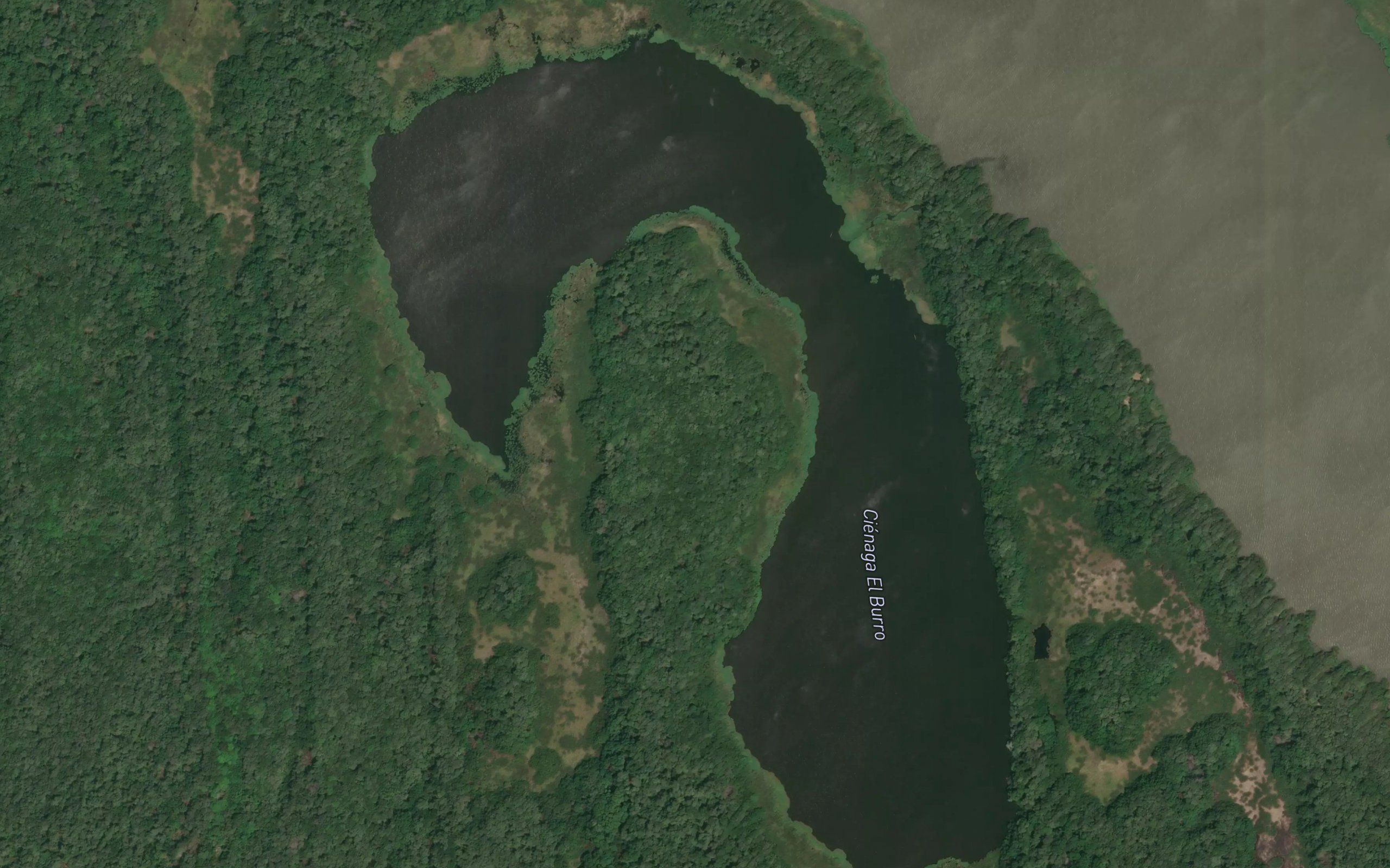 Cienaga El Burro