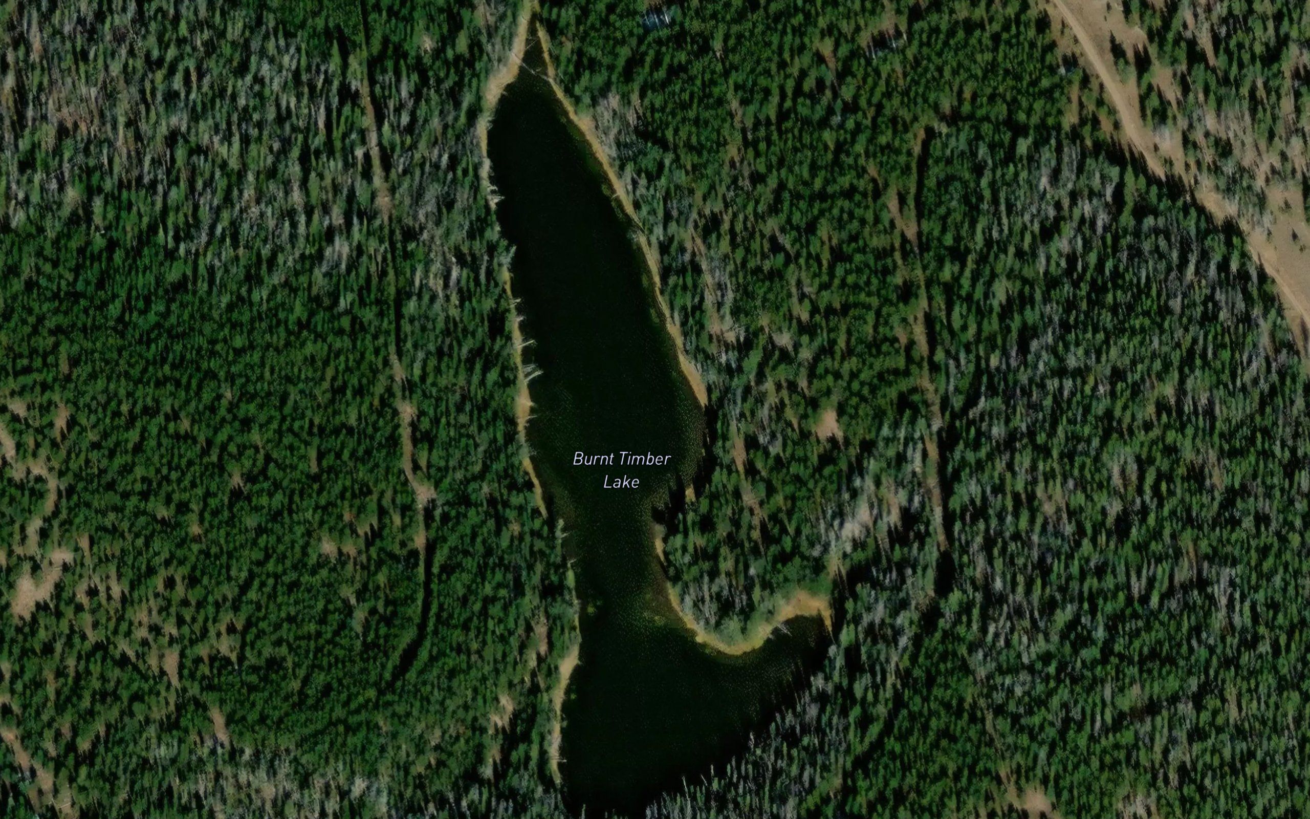 Burnt Timber Lake