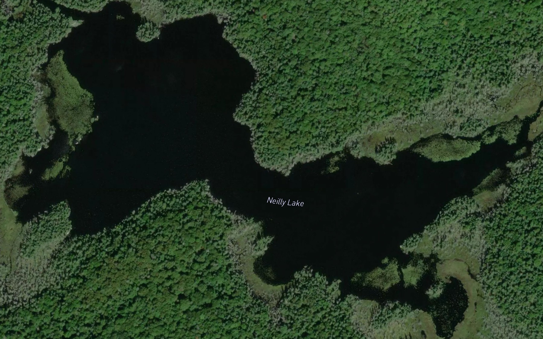 Satellite map of the Neilly Lake