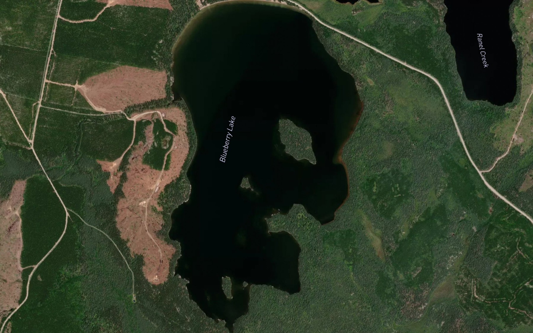 Satellite map of the Blueberry Lake