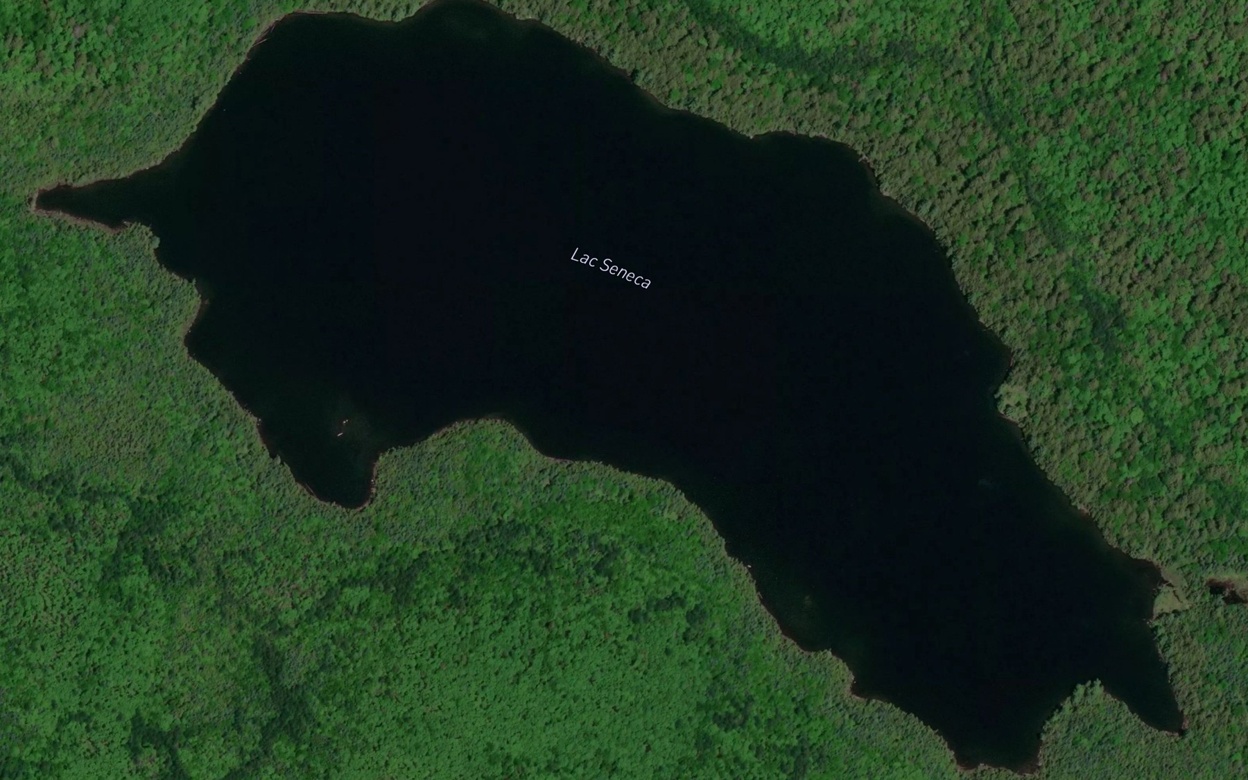 Satellite map of the Lac Seneca