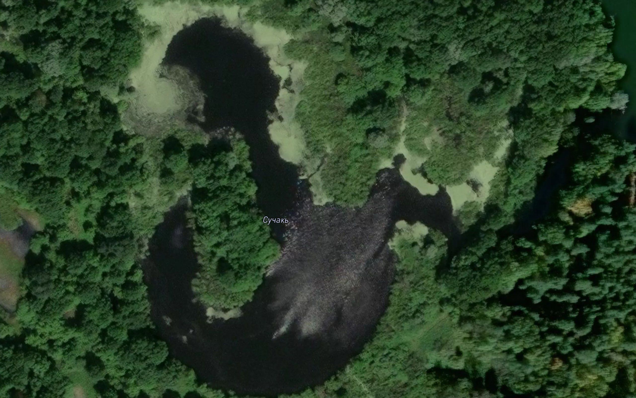 Ozero Suchaki