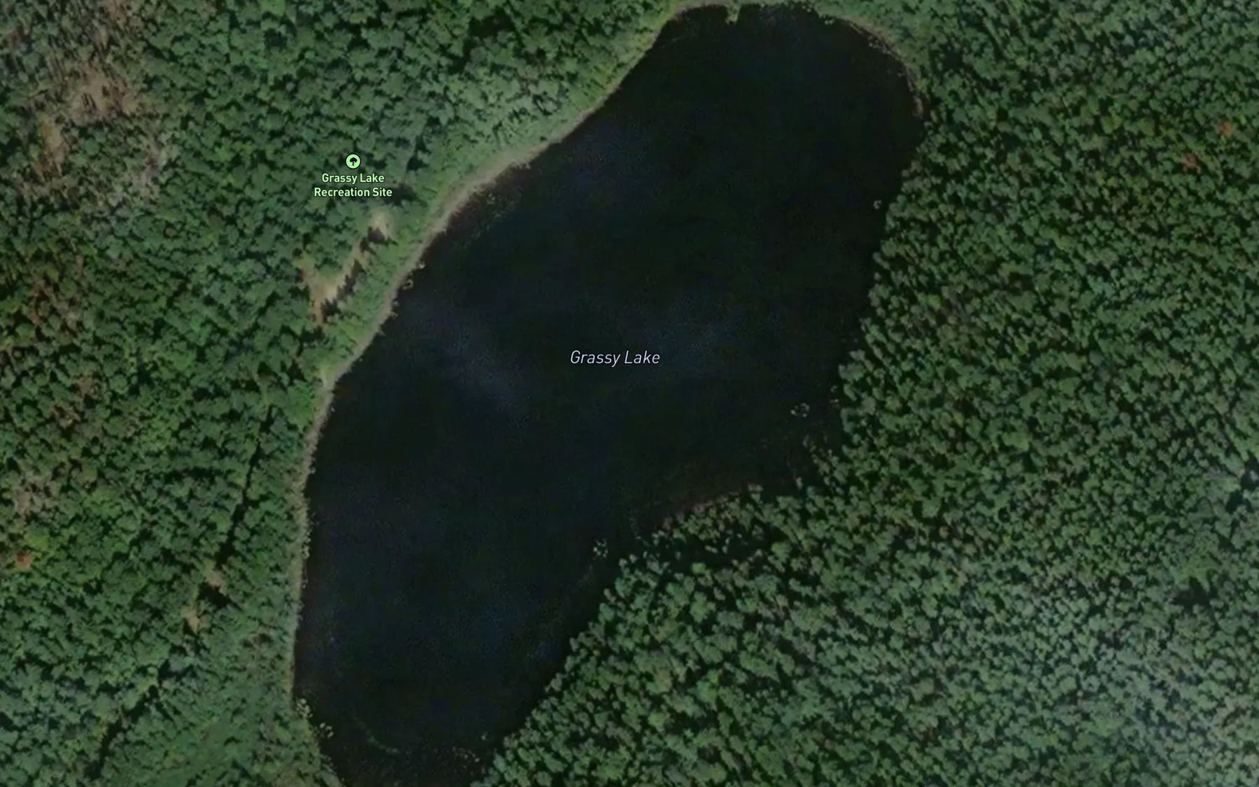 Satellite map of the Grassy Lake