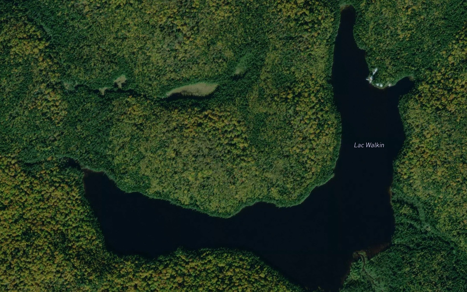 Satellite map of the Lac Wilkin