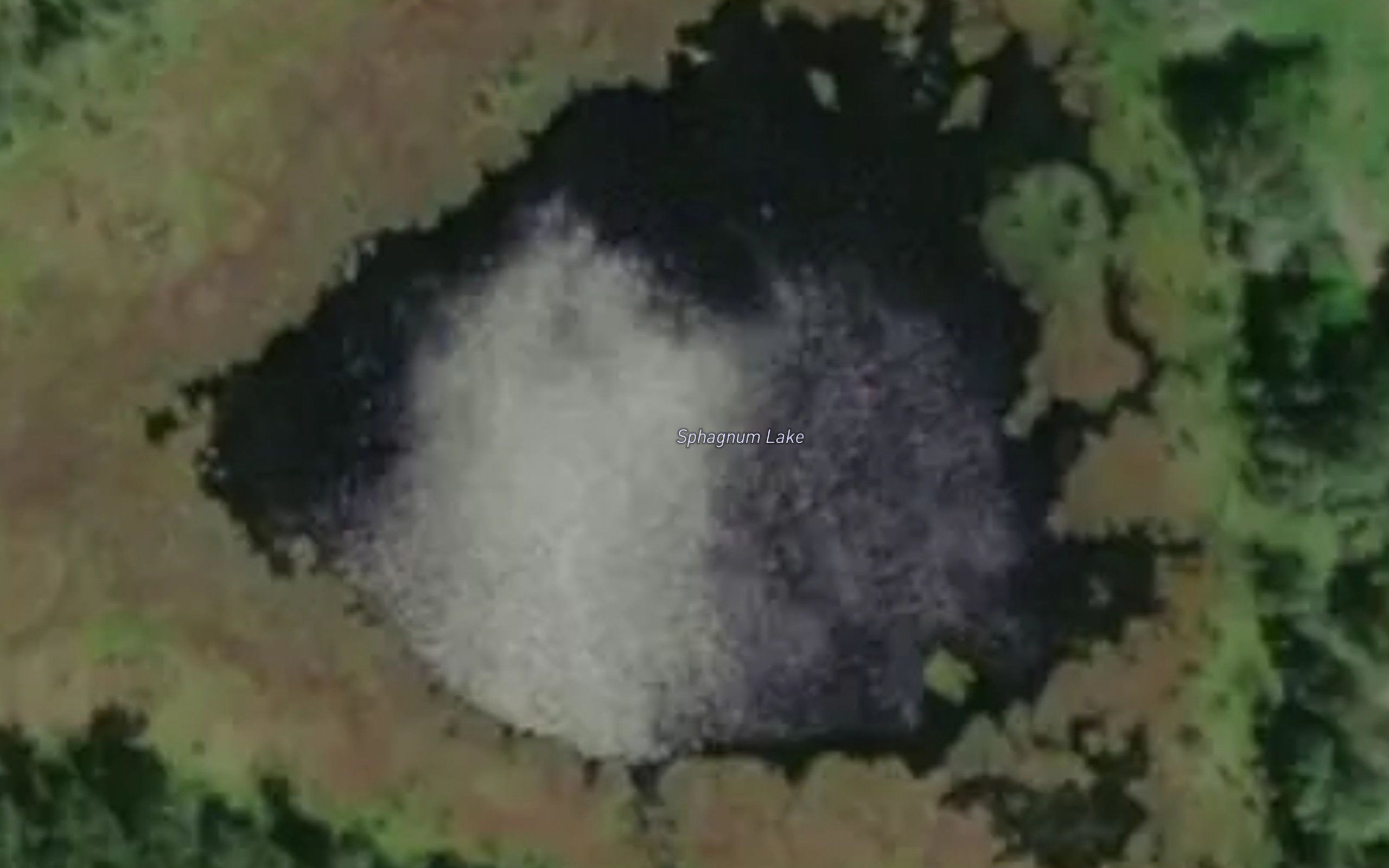 Sphagnum Lake