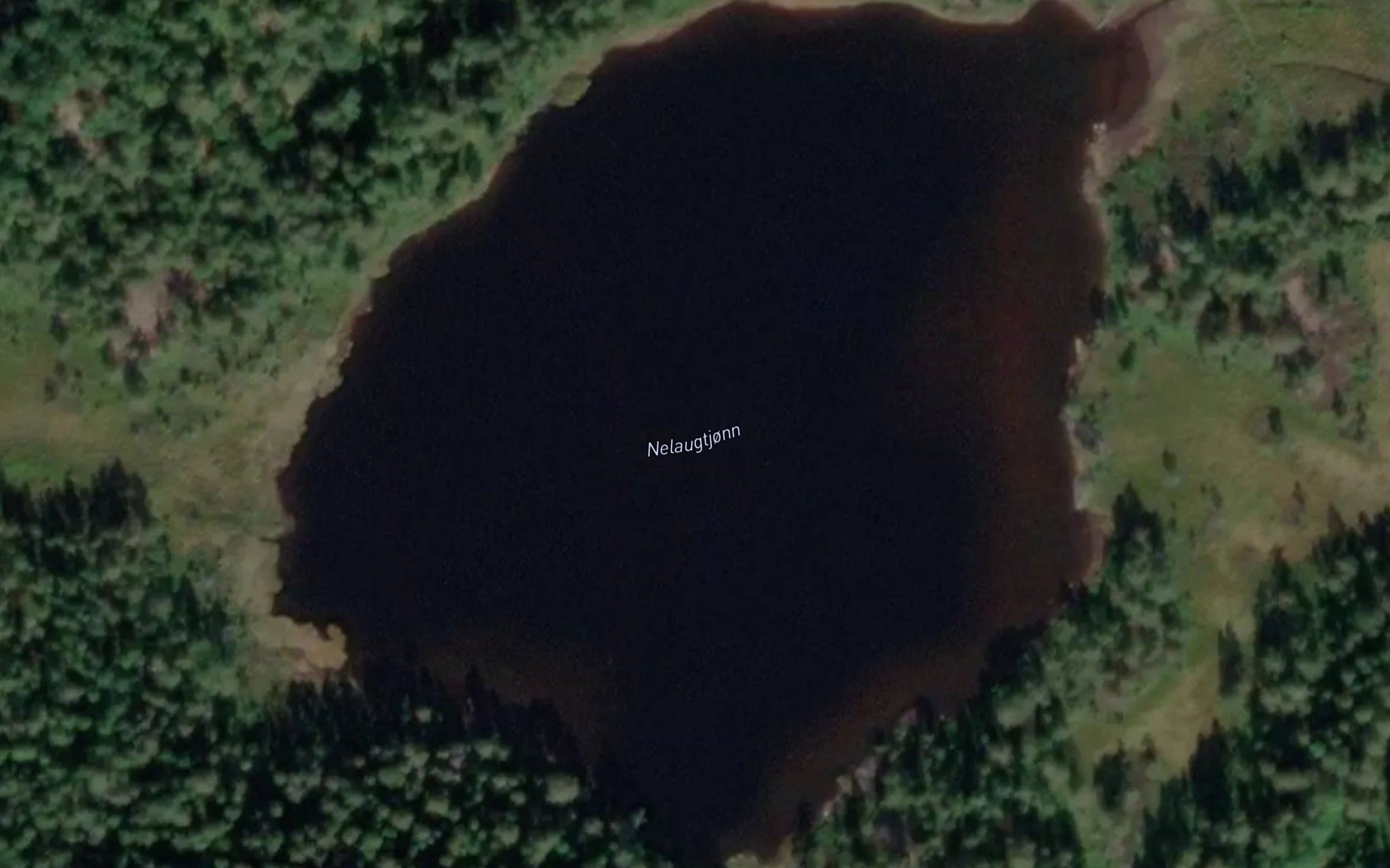 Nelaugtjorn