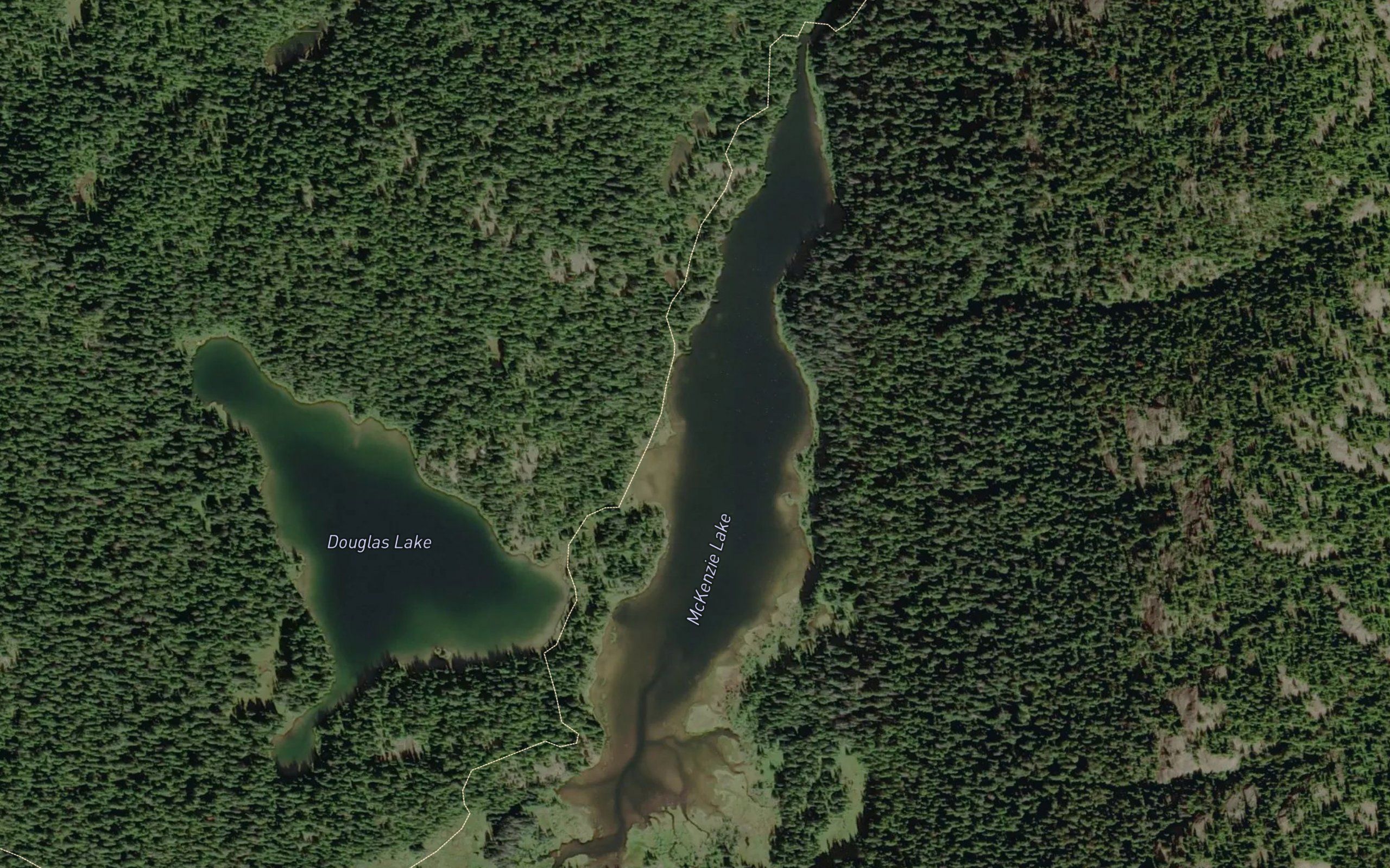 McKenzie Lake