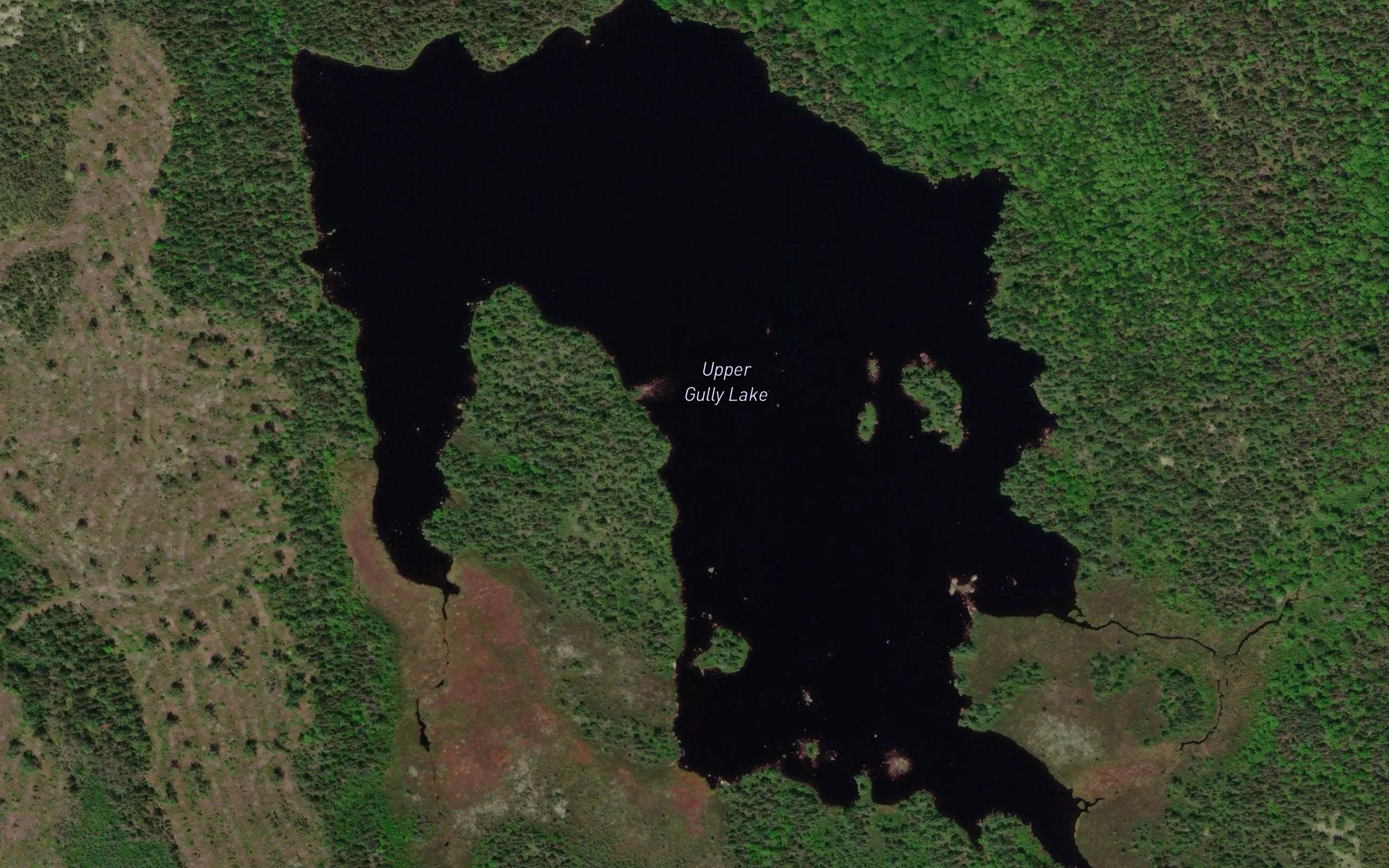 Upper Gully Lake
