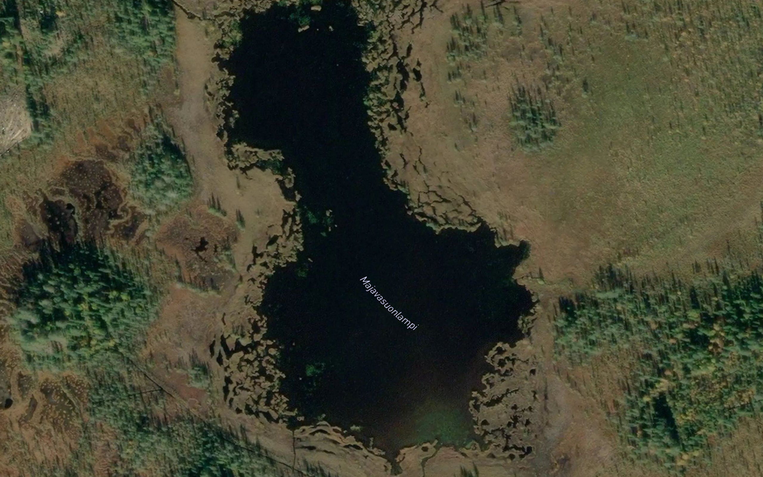 Majavasuonlampi