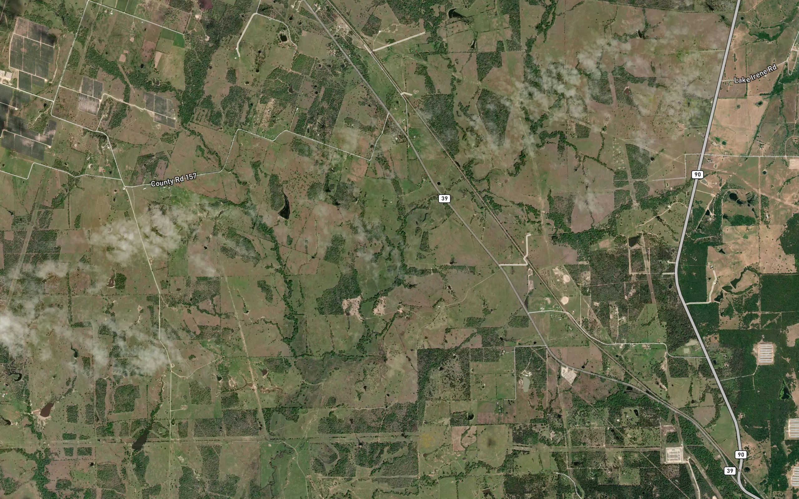 Wilson Branch