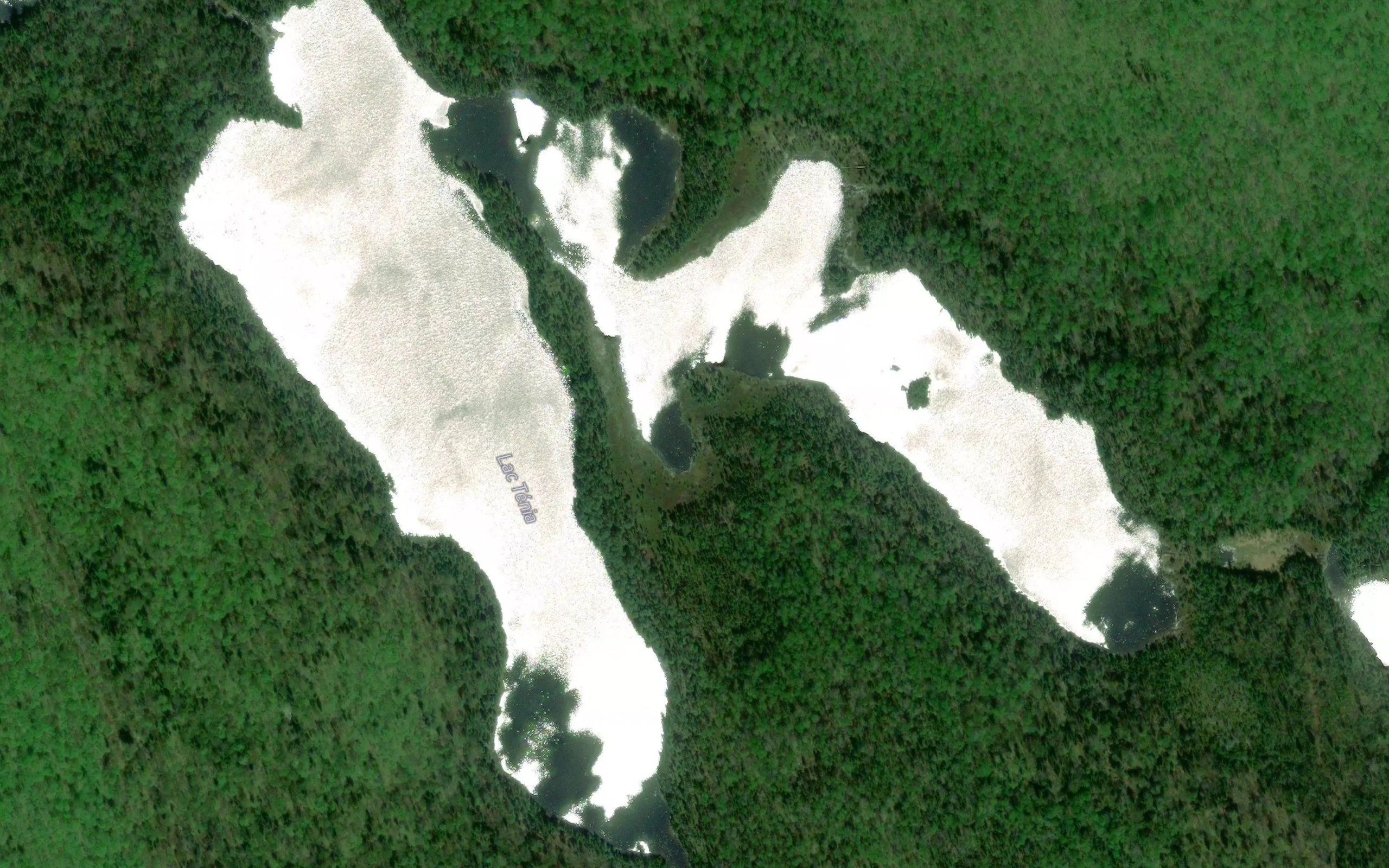 Lac Tenia