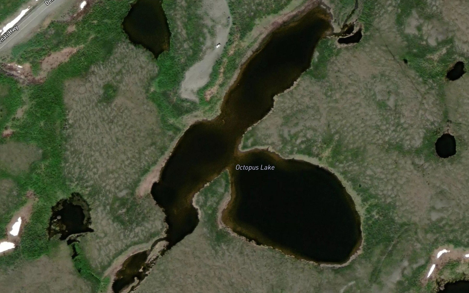 Satellite map of the Octopus Lake