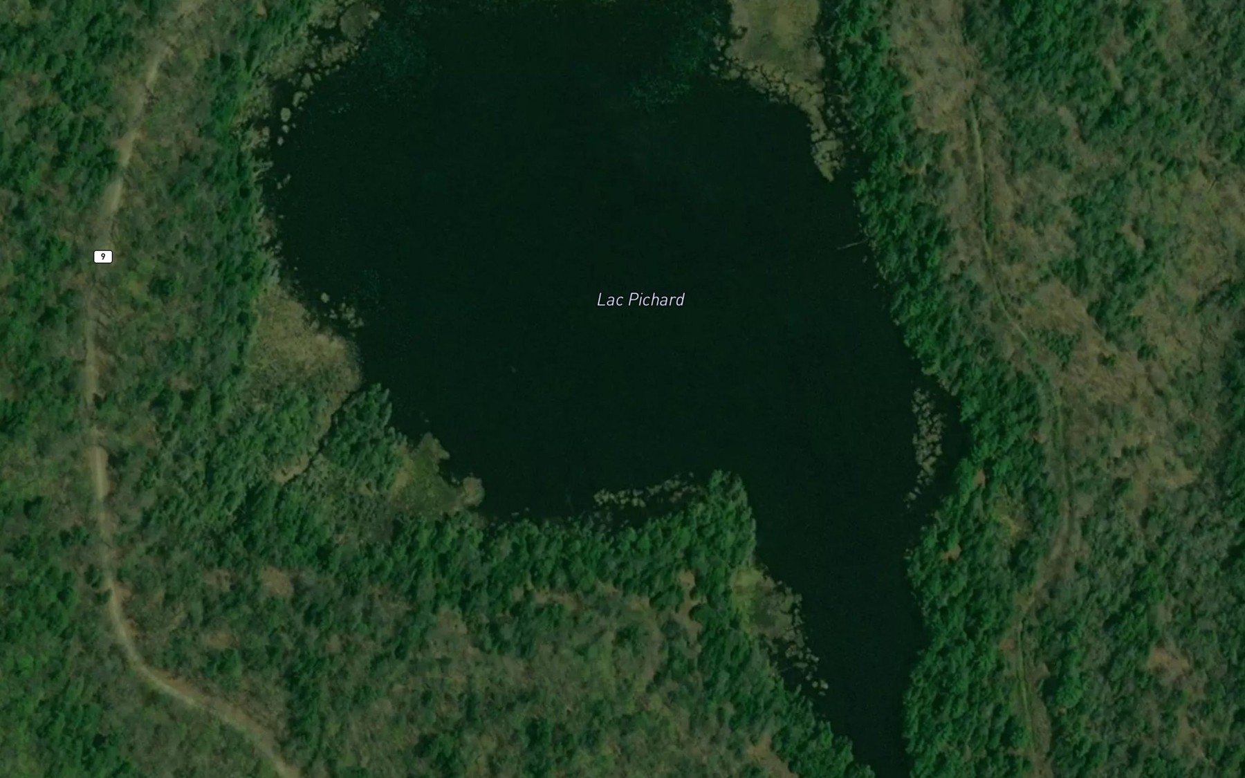 Satellite map of the Lac Pichard