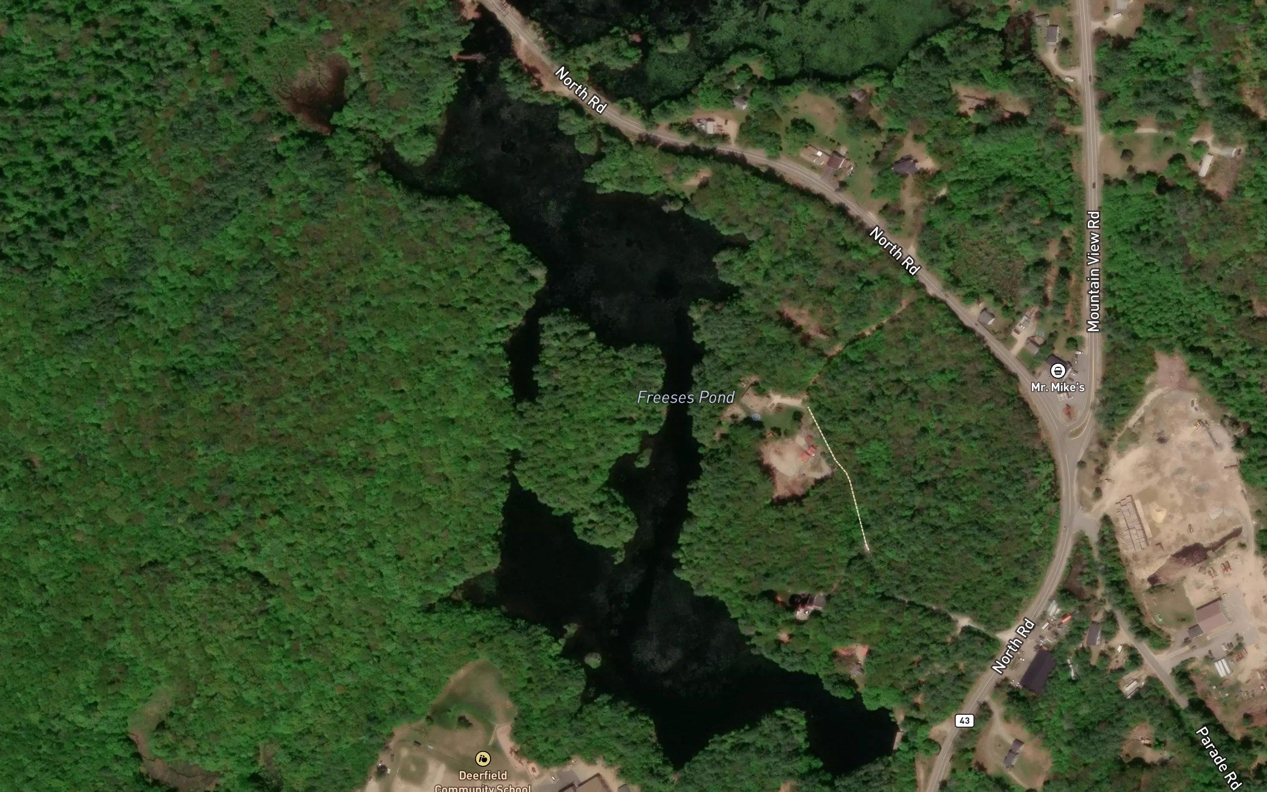 Freeses Pond