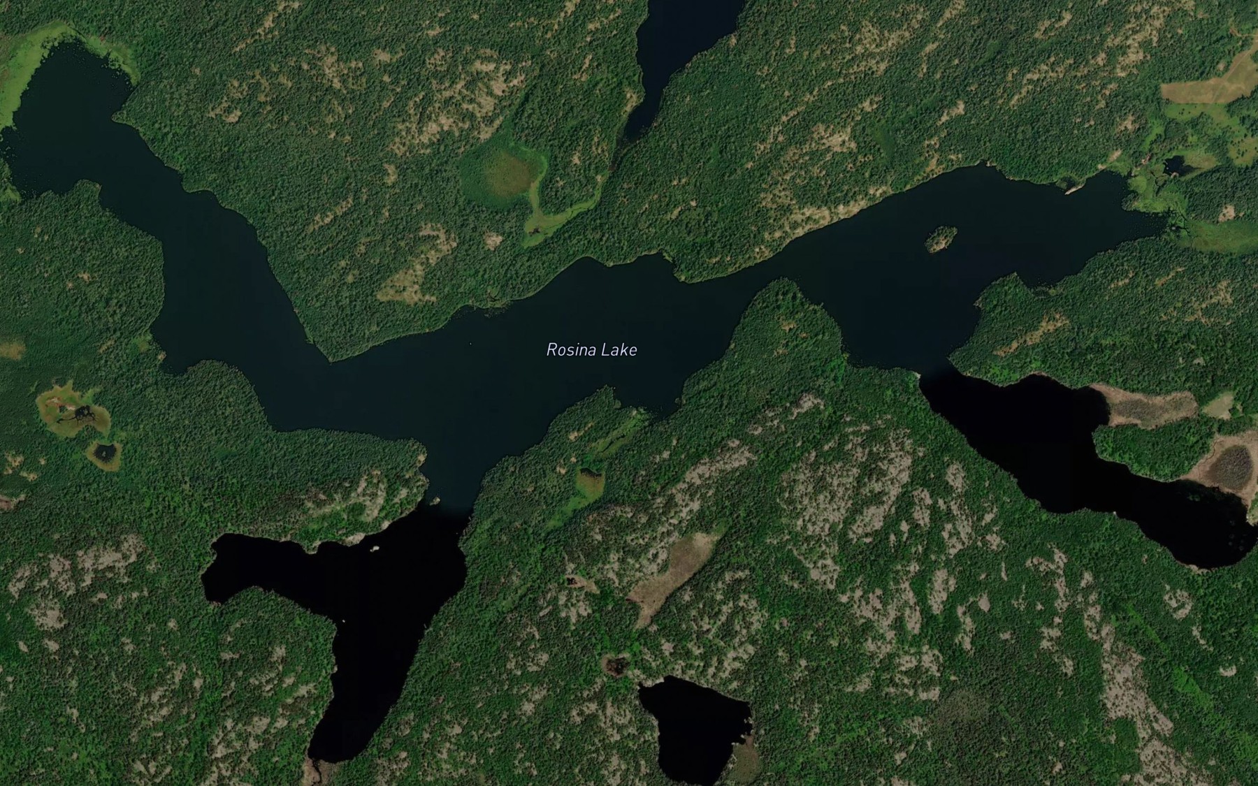 Satellite map of the Rosina Lake