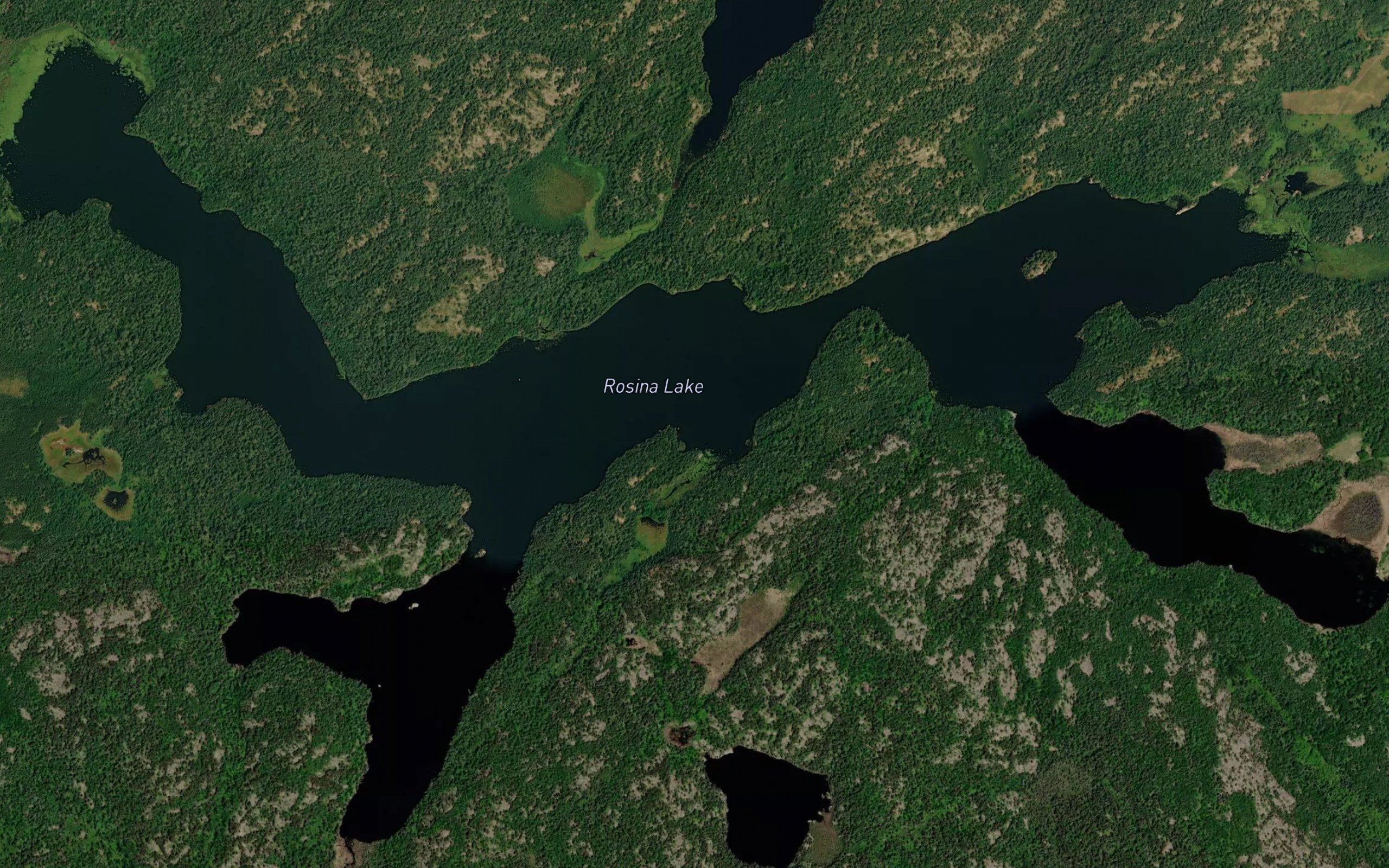 Rosina Lake