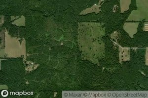 Arthur Reeves Branch