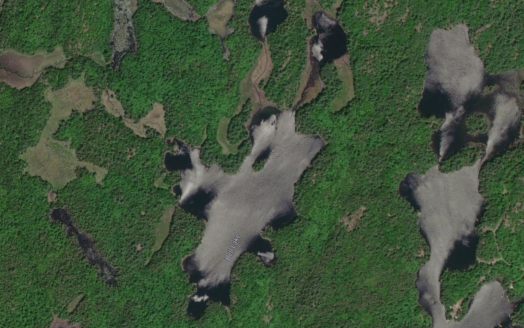 Satellite map of the Bell Lake