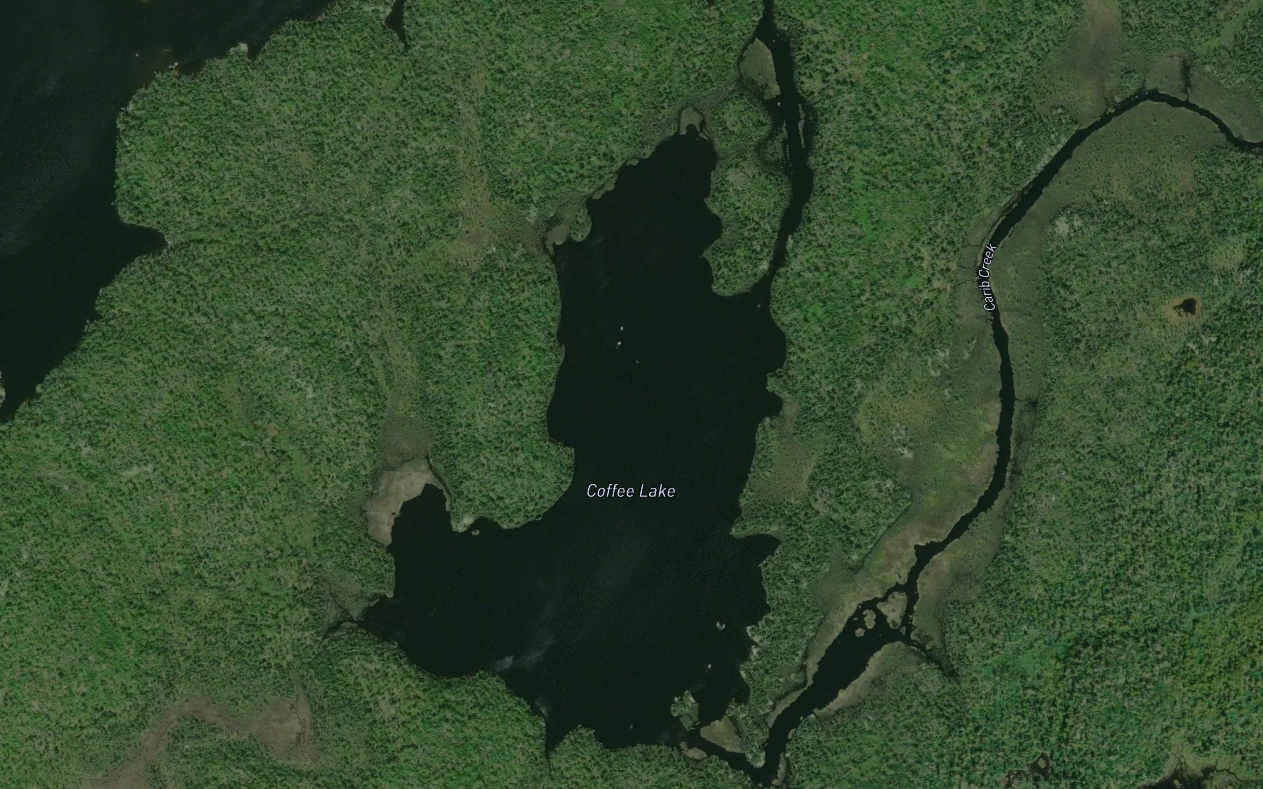 Coffee Lake